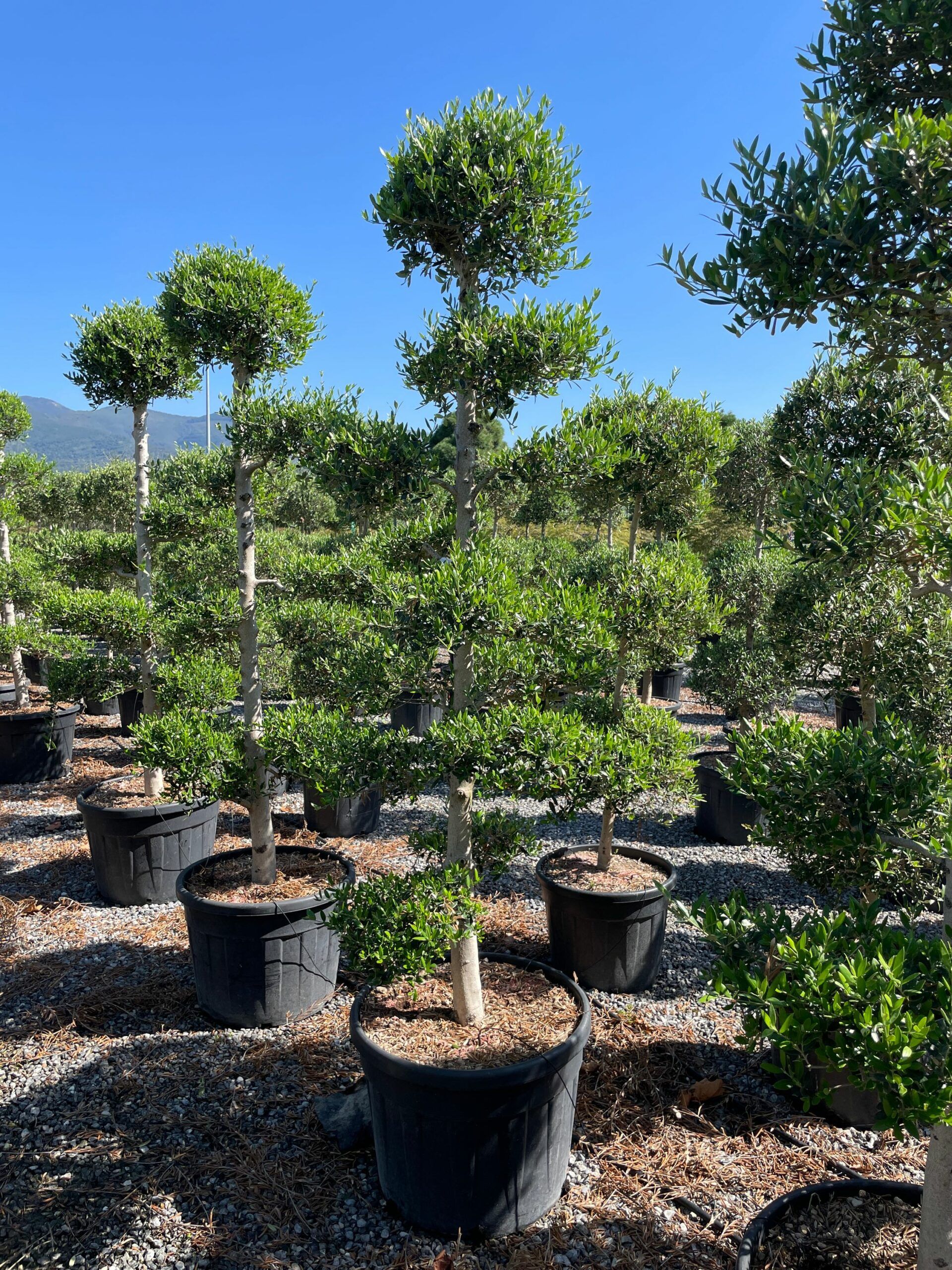 1694251479 scaled 94b71e68