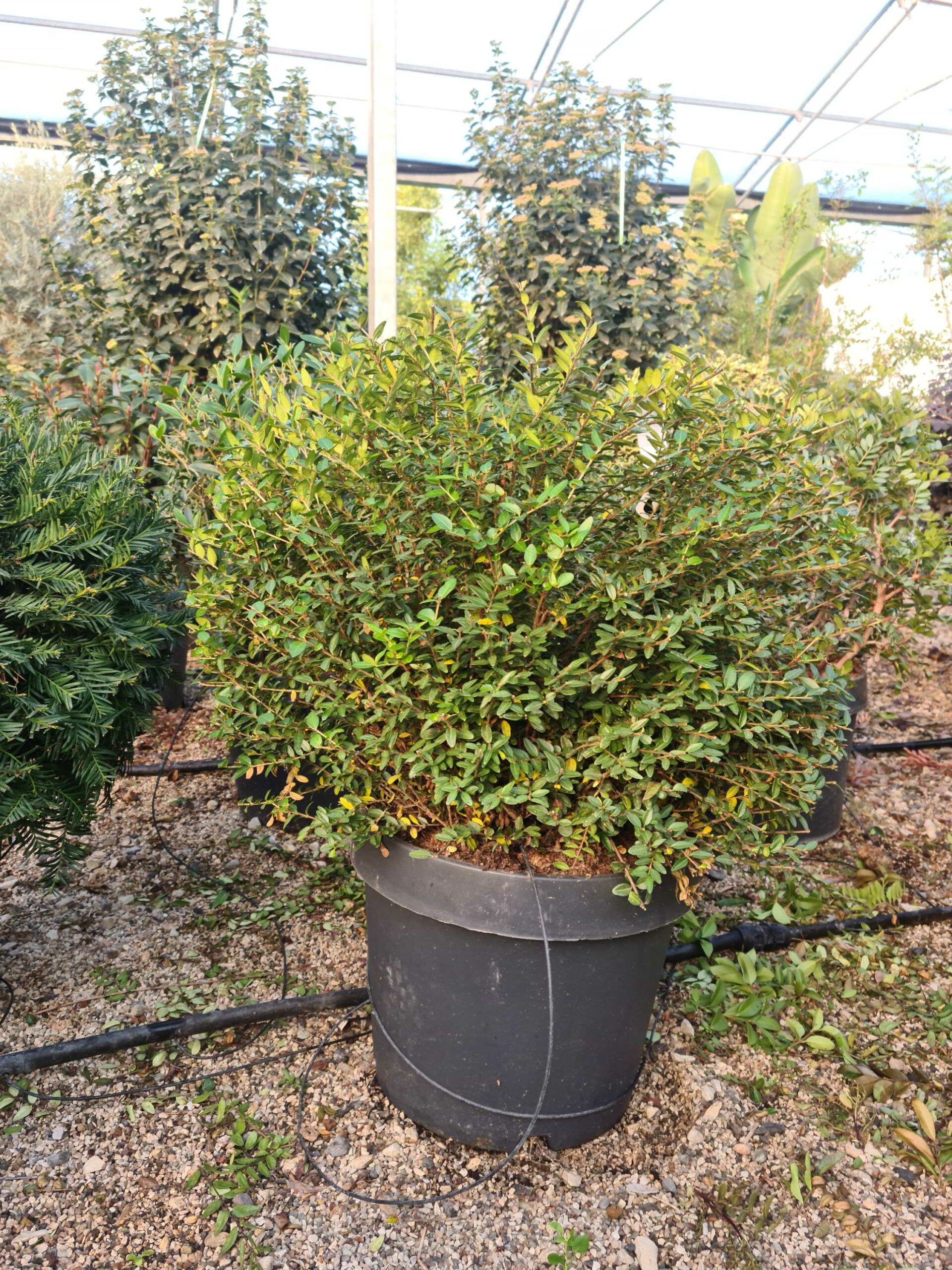 1639469328 scaled 952b50a5