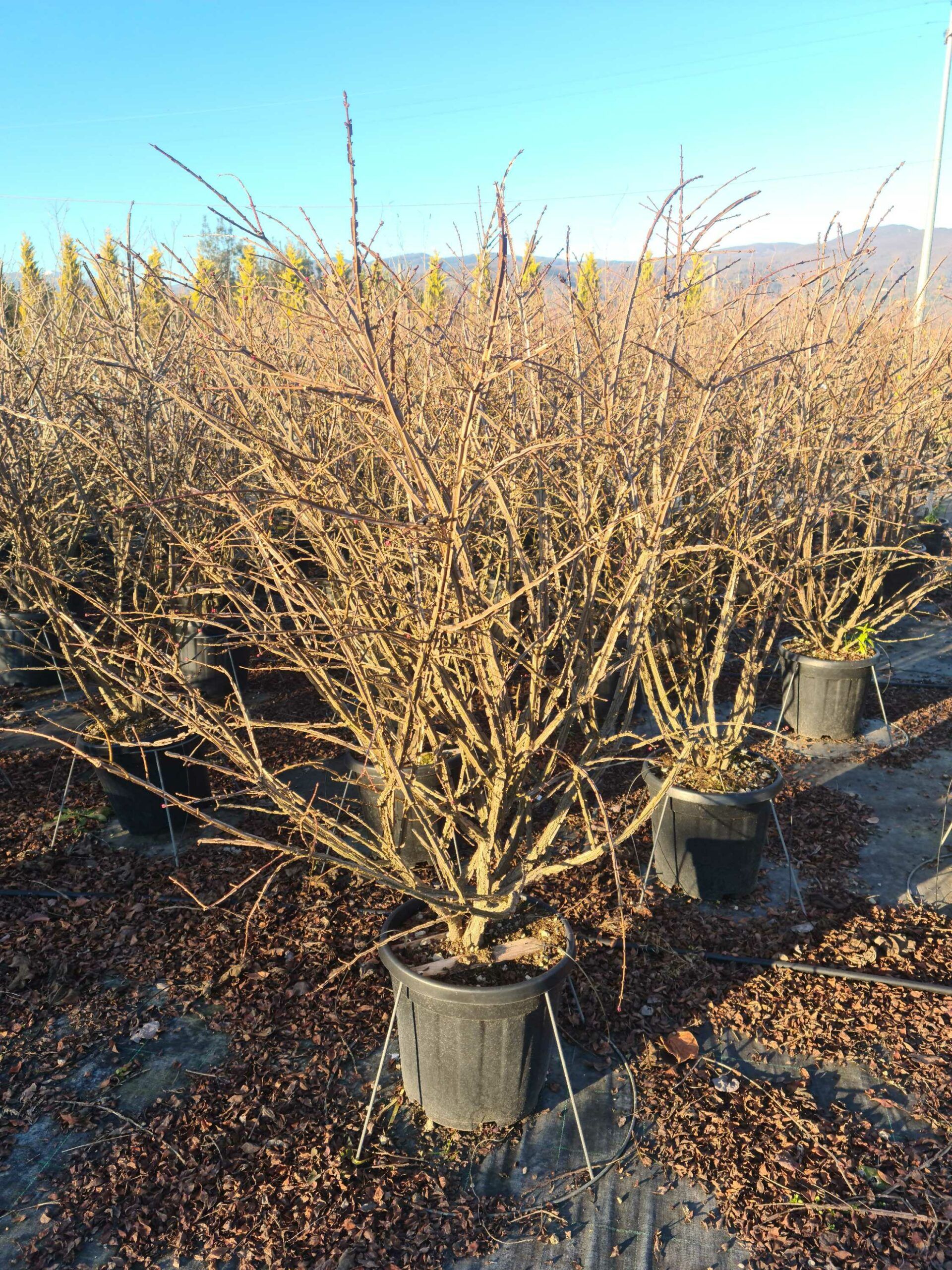 1639664741 scaled 95ab0bf9