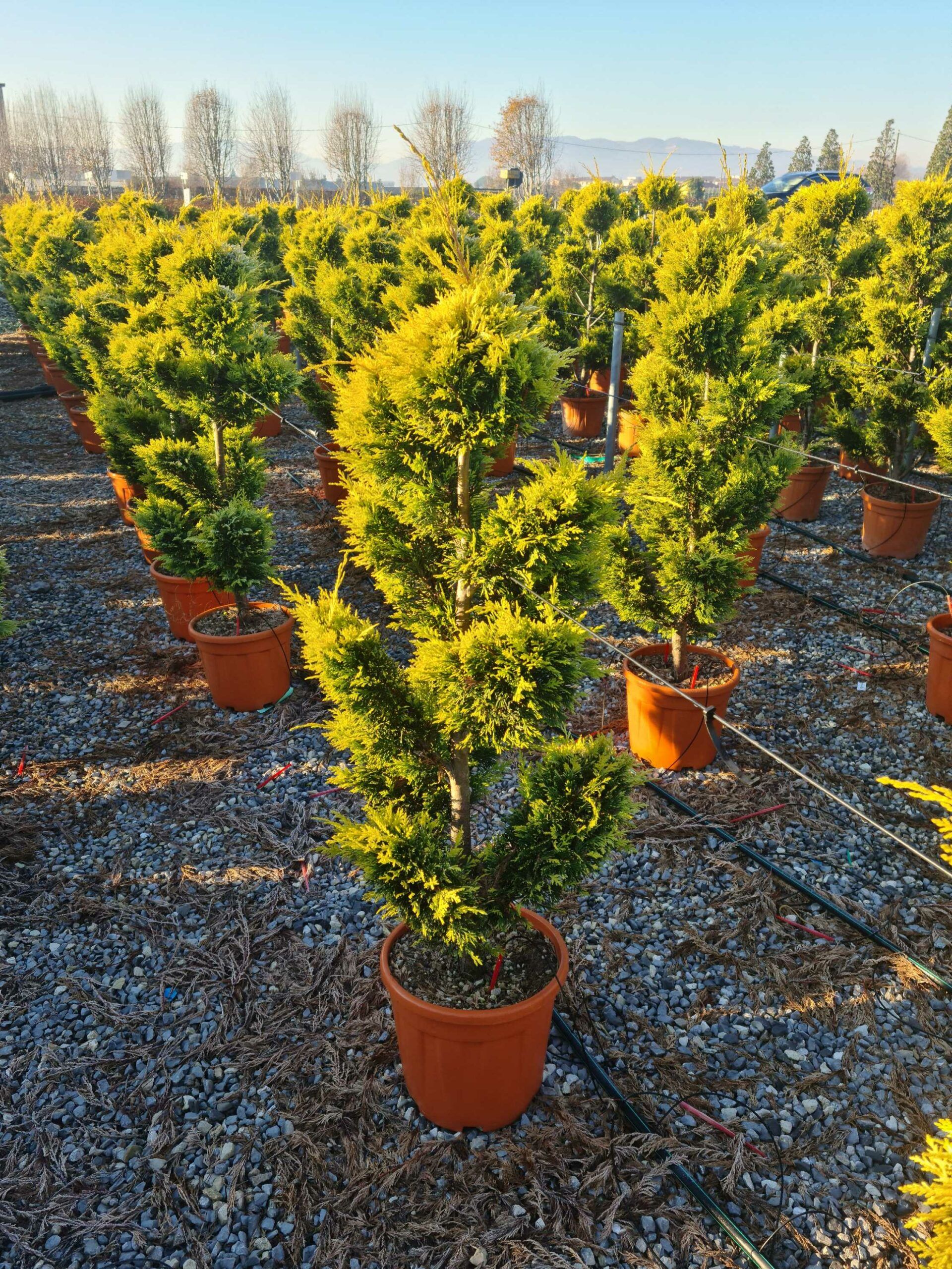 1639815675 scaled 95a230bf