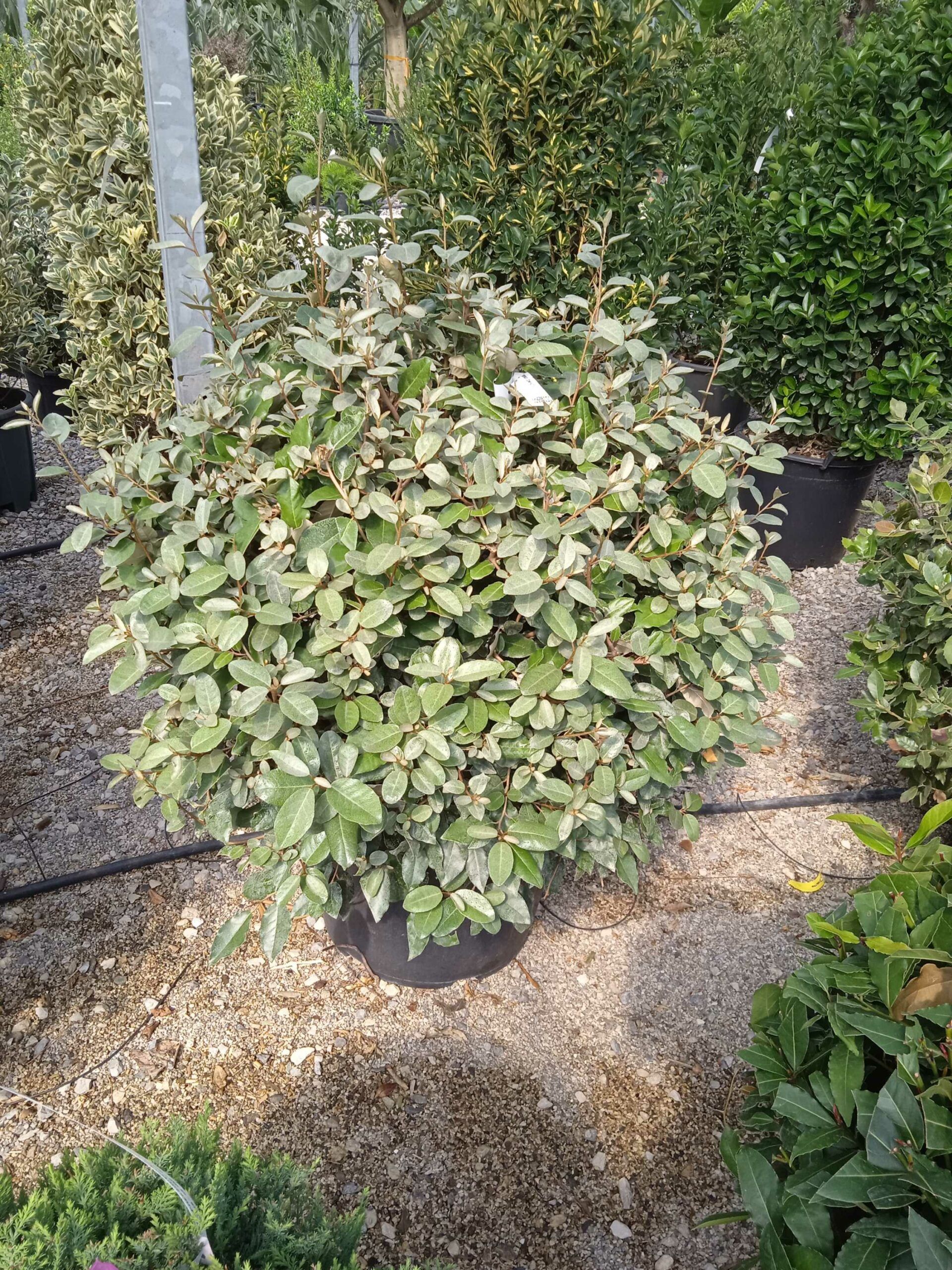 1662369573 scaled 9519b1ee