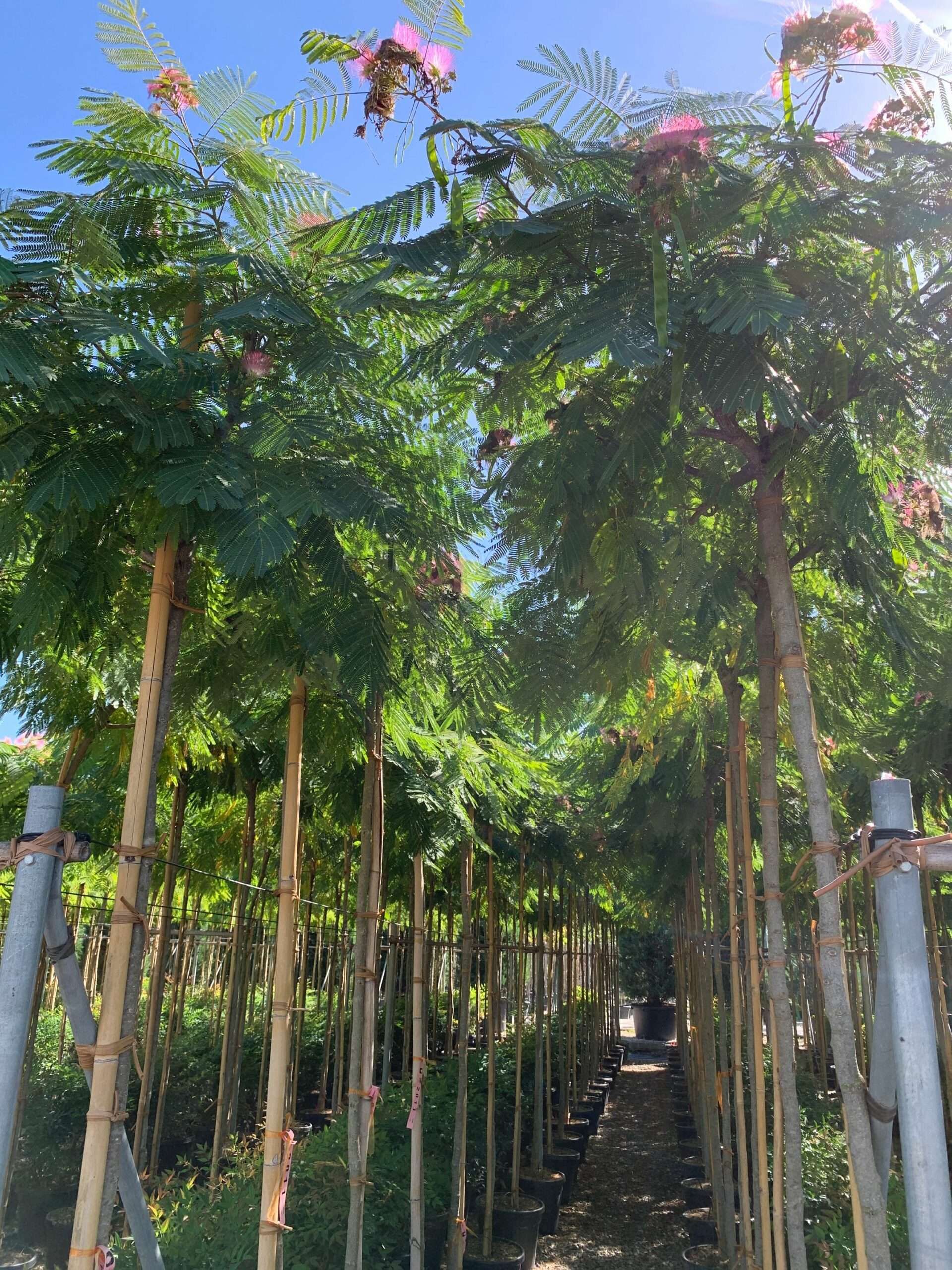 1662454332 scaled 95a1c881