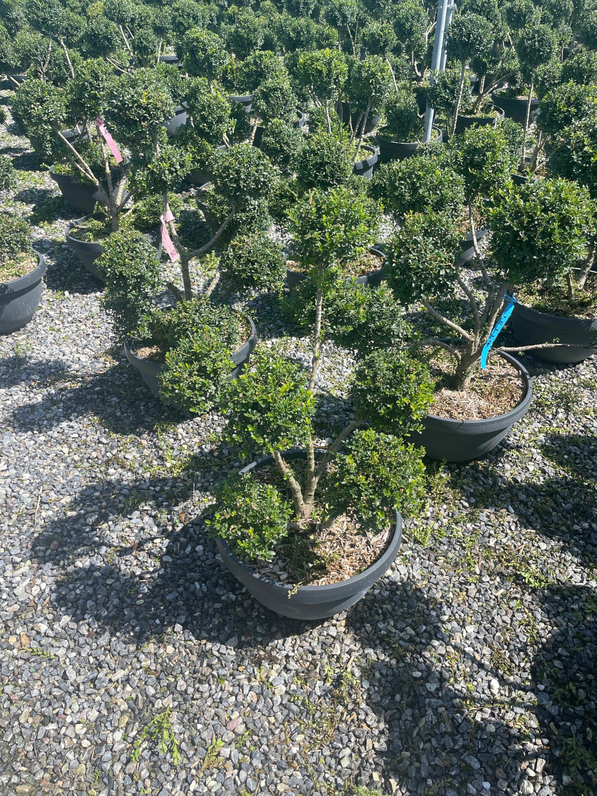 1692871534 scaled 95ab69ec