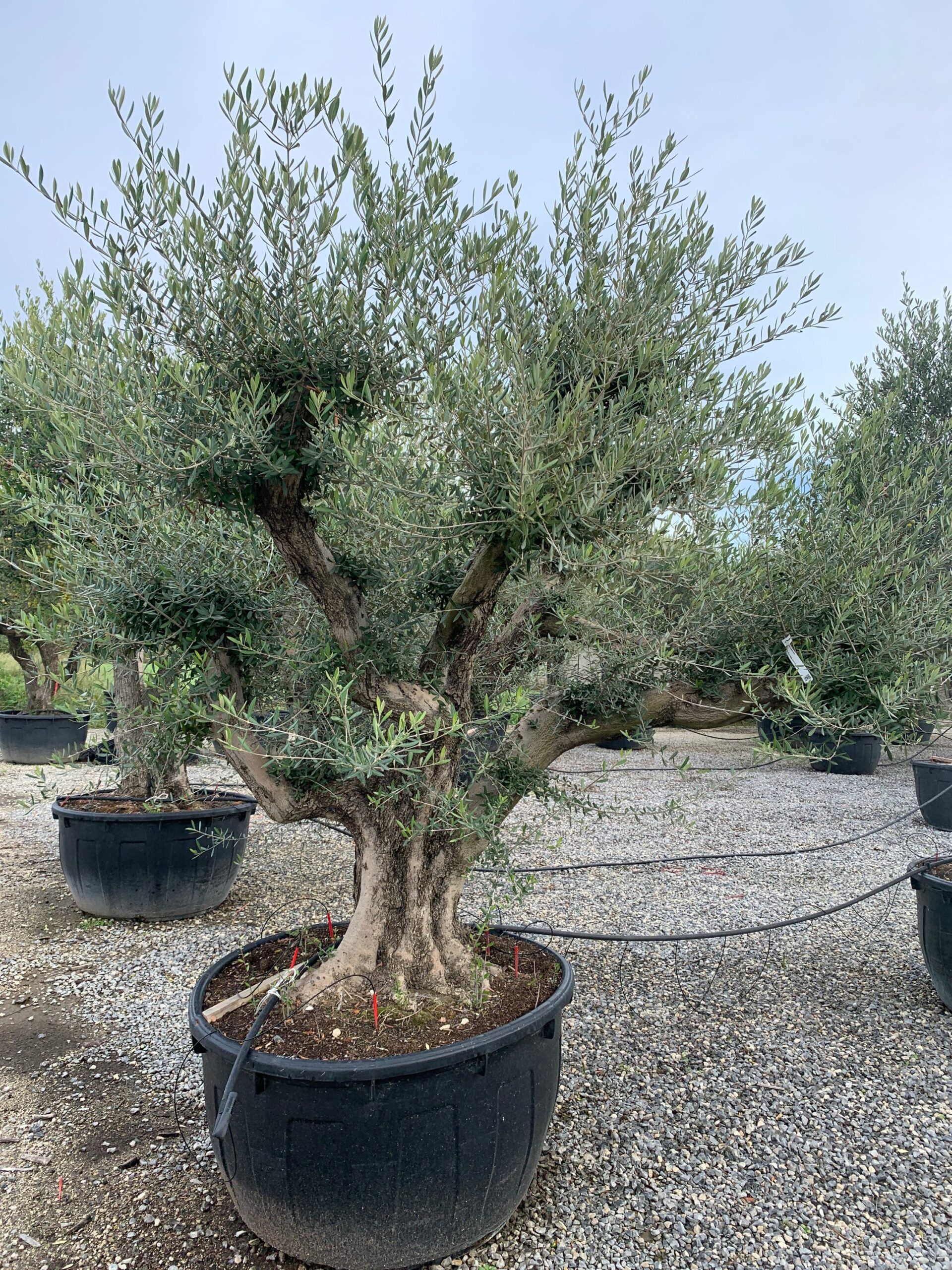 1636101885 scaled 96bc1d68