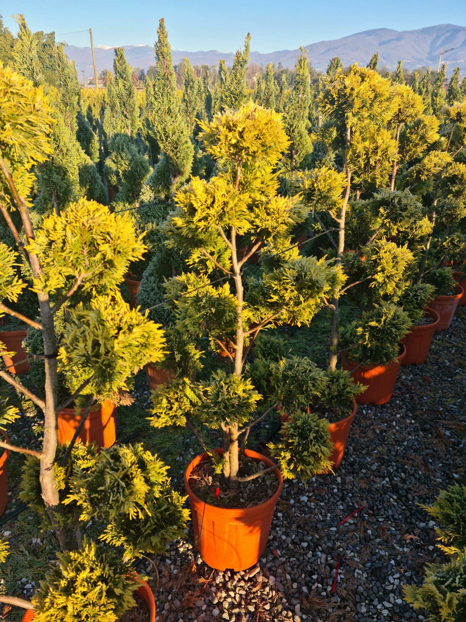 1639814030 scaled 964acfcc