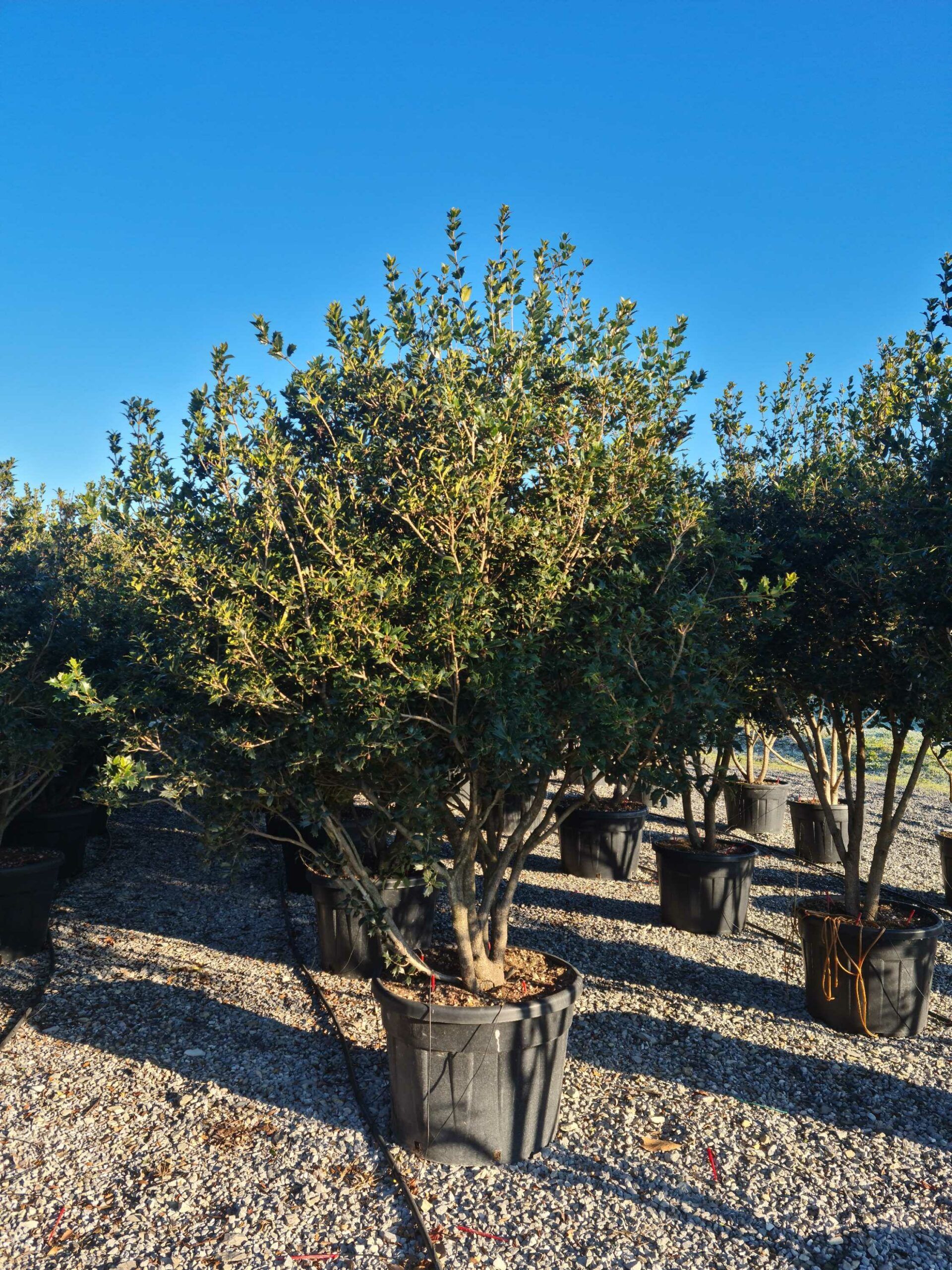 1639816431 scaled 963b6936