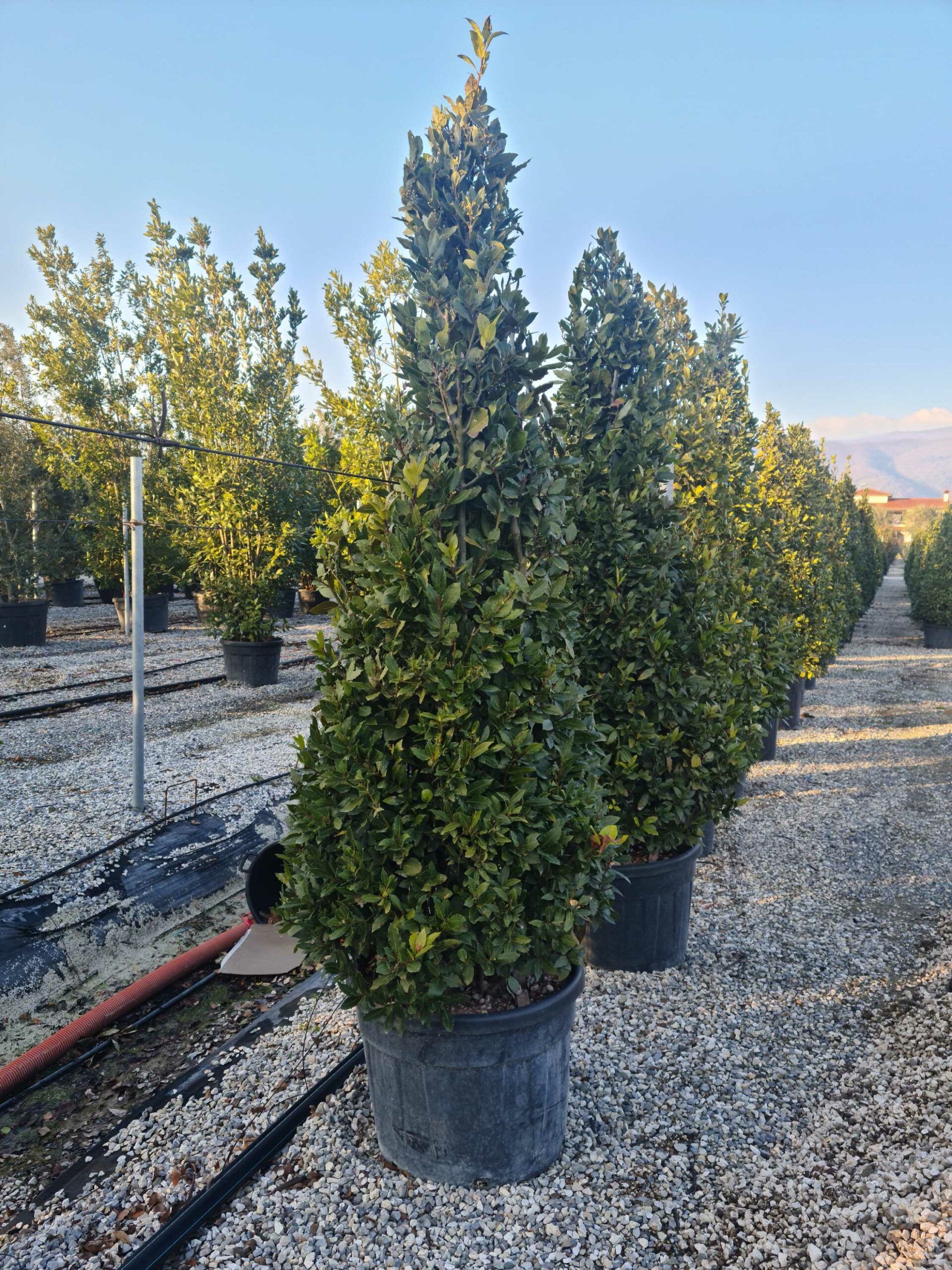 1642777673 scaled 96065ae2