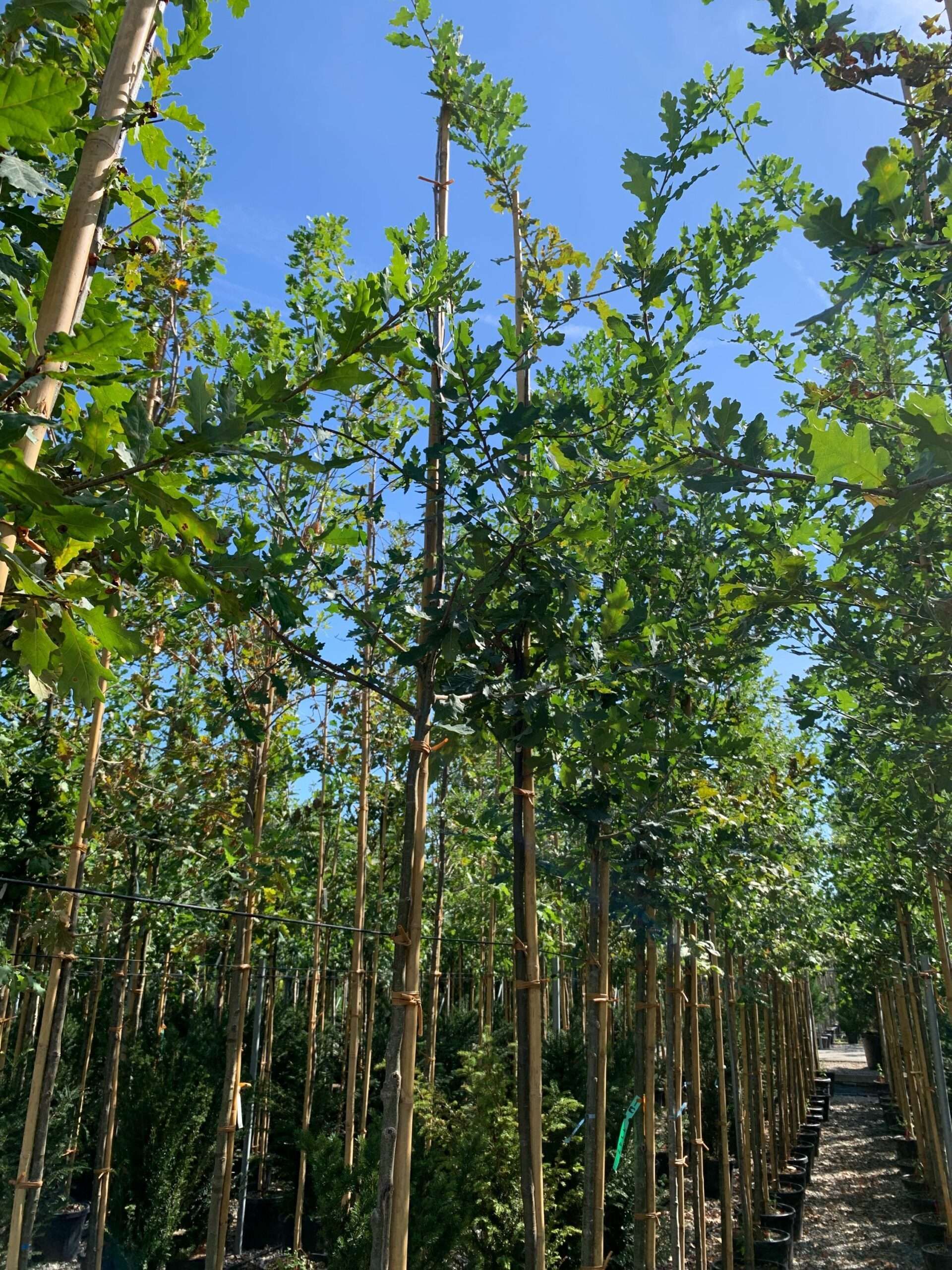 1662455408 scaled 9652ea41