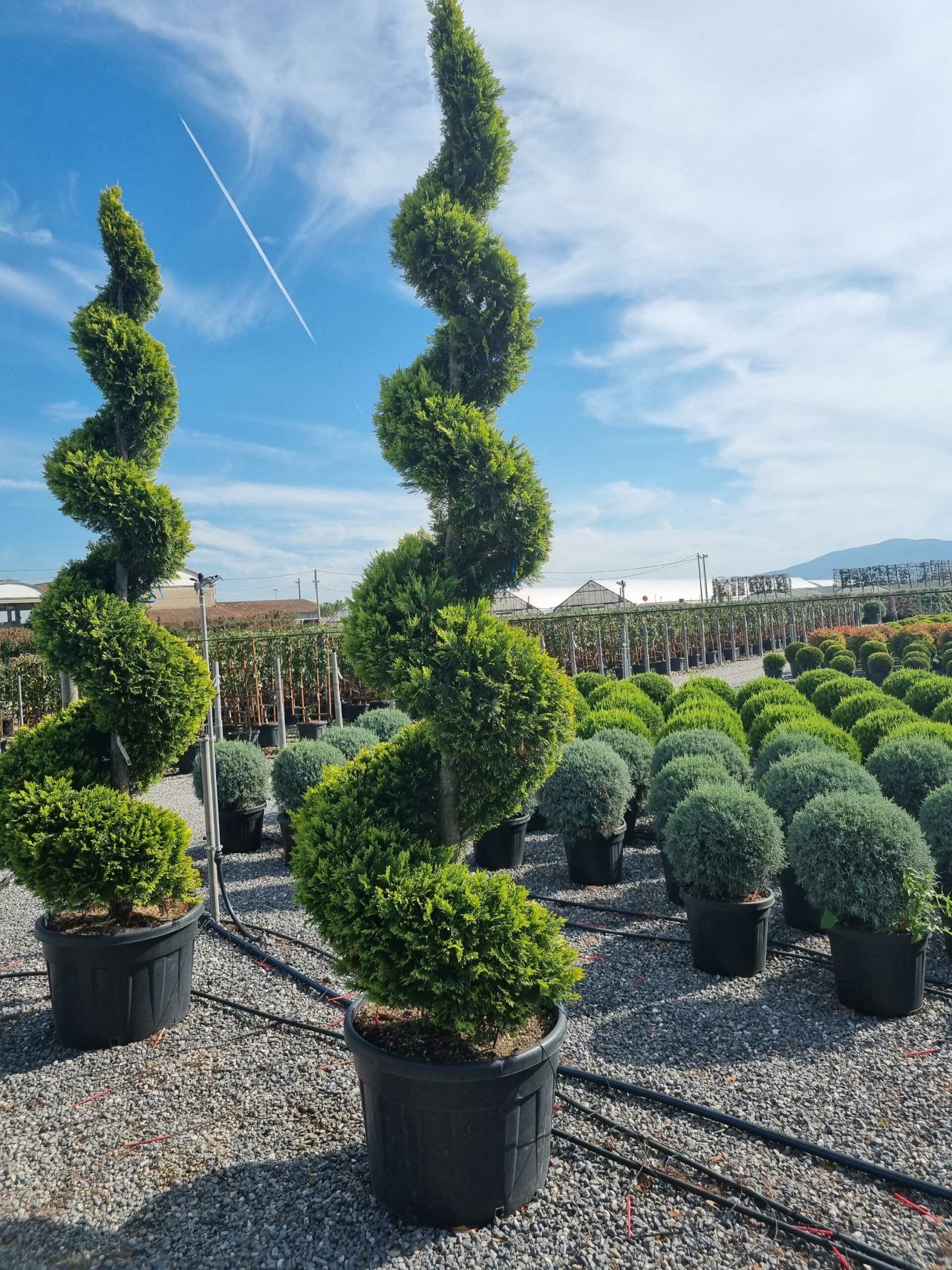 1665061238 scaled 969fd5cd