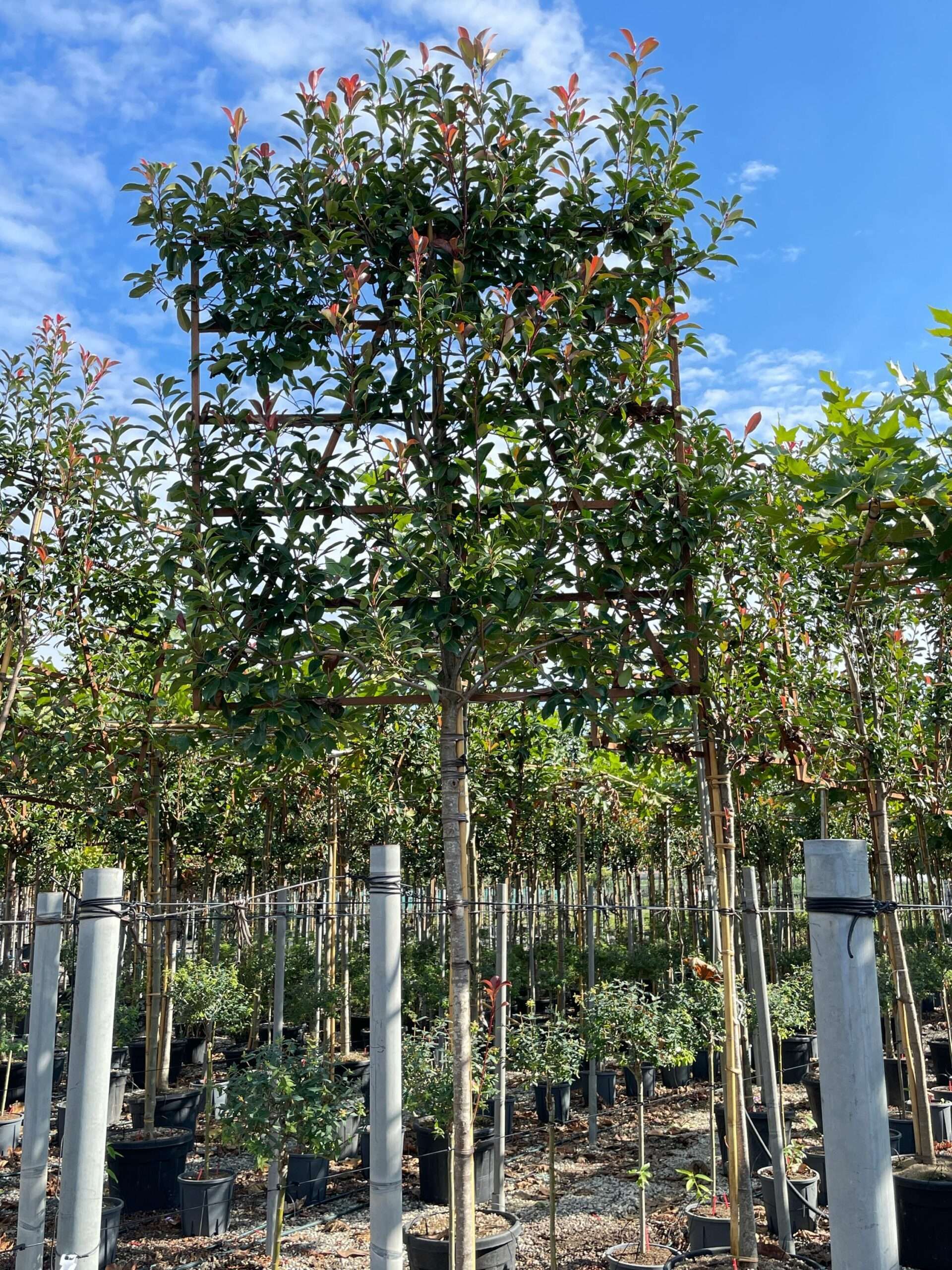 1665305891 scaled 960a022a