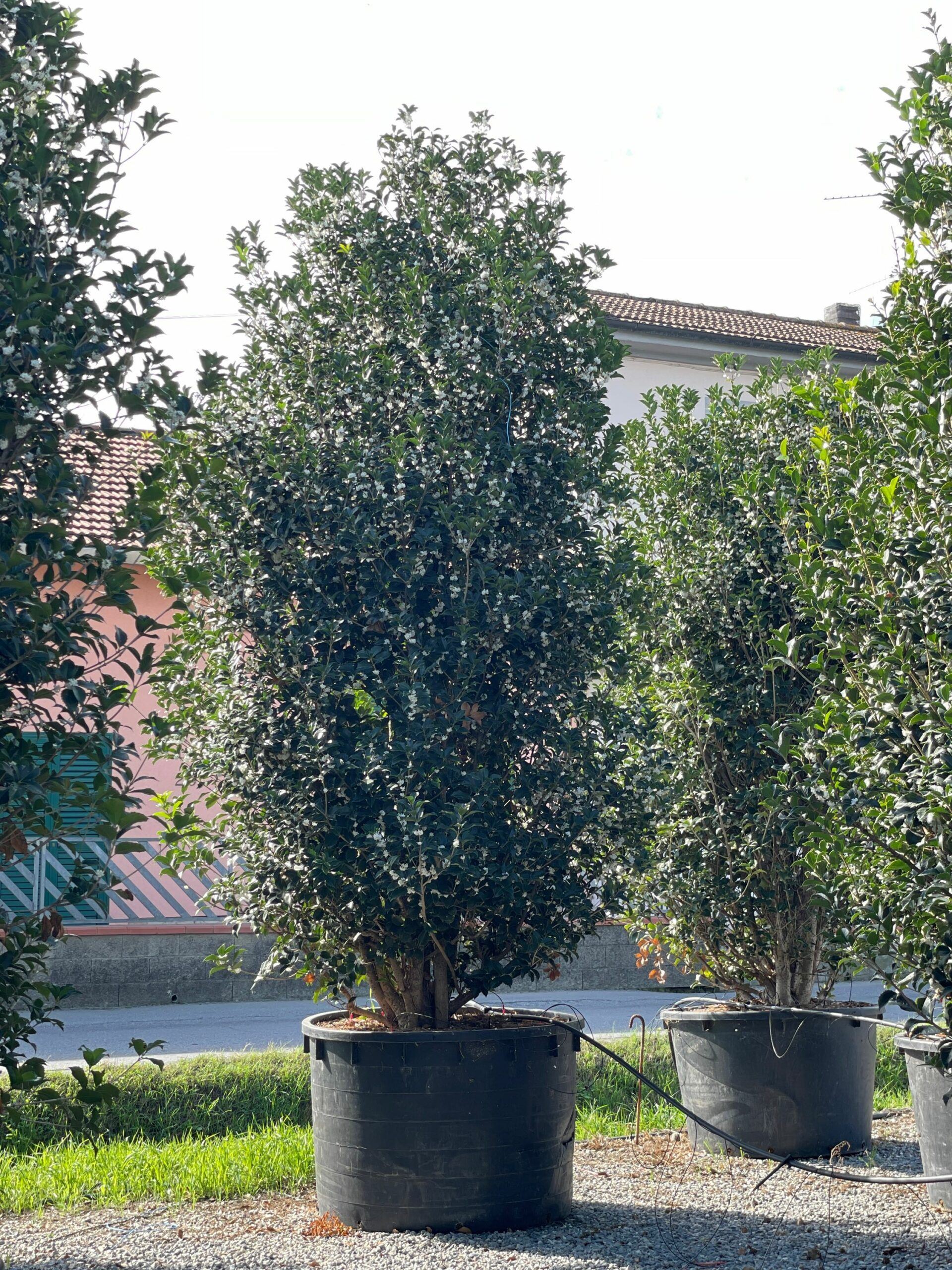 1665306760 scaled 96725c95