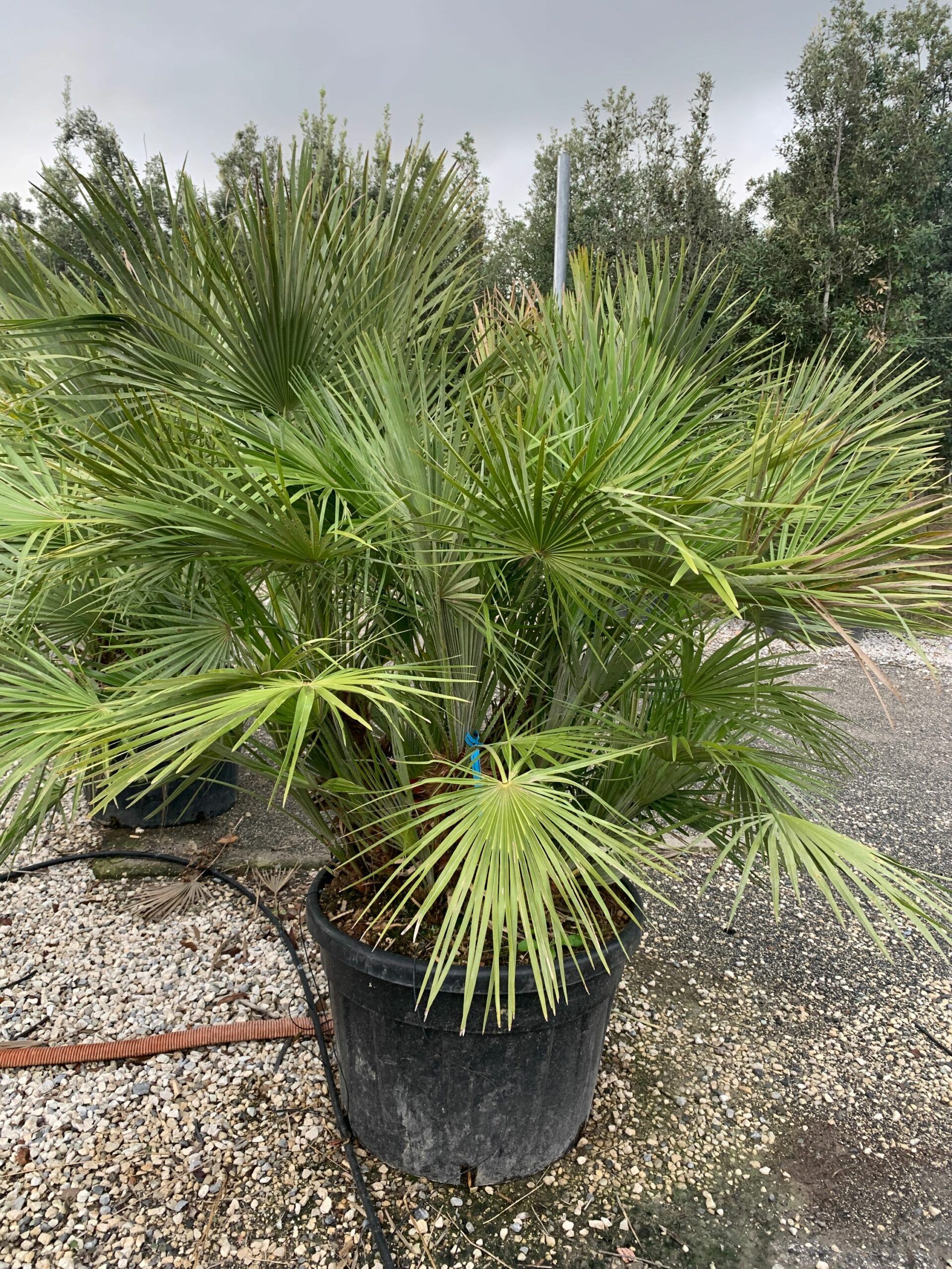 1635947718 scaled 977486d2