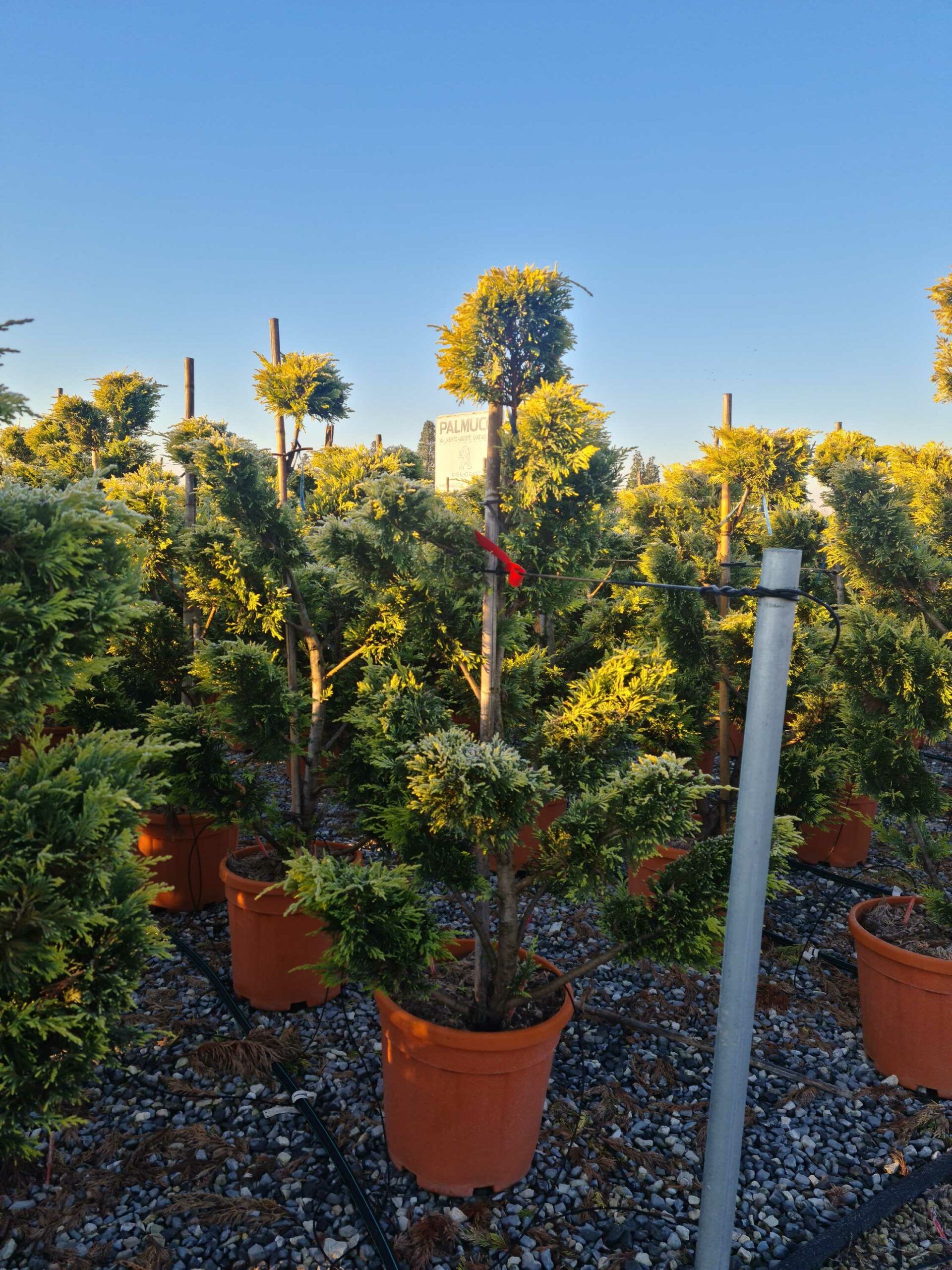 1639813588 scaled 978db45a