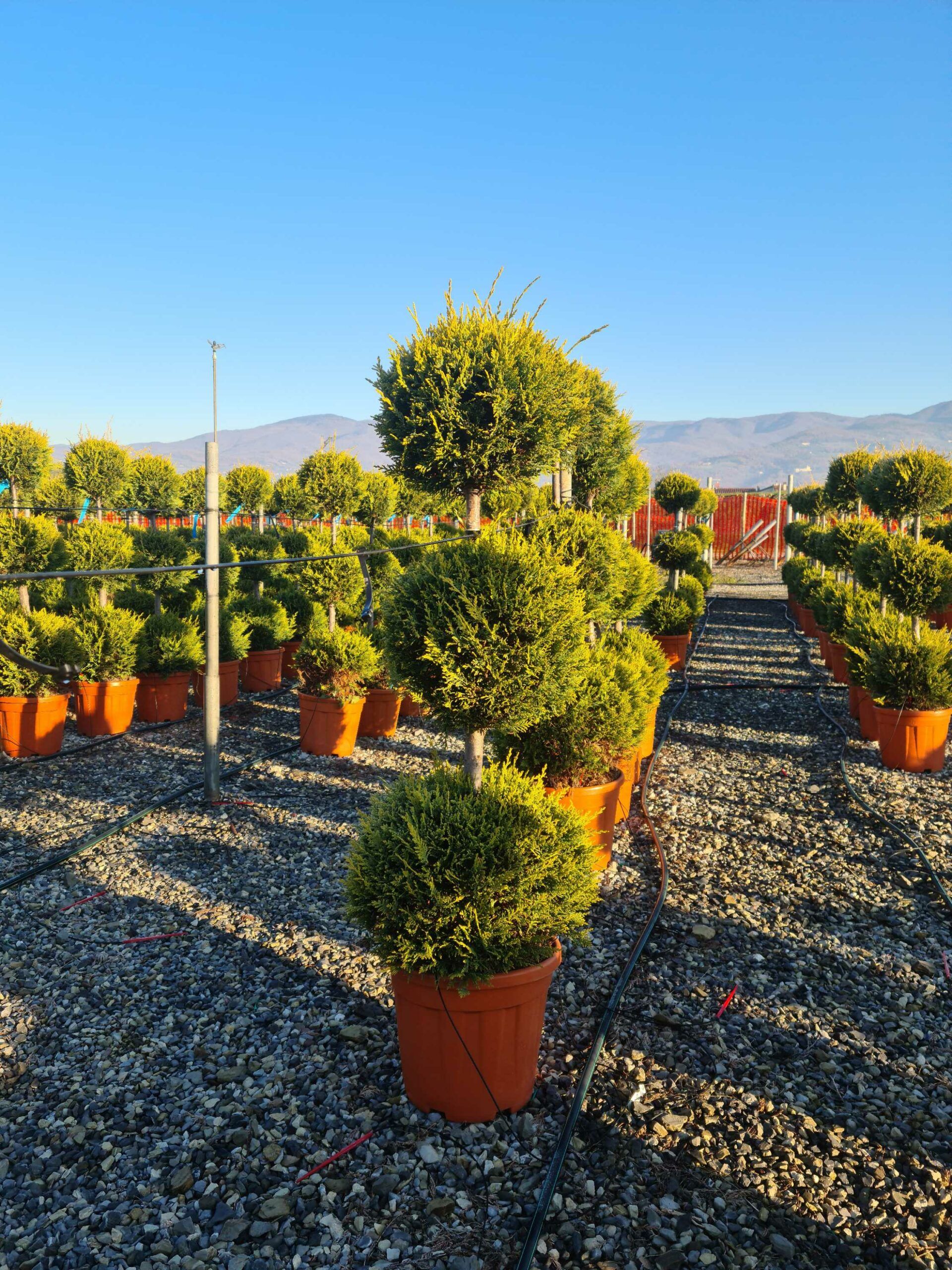 1639815211 scaled 975efc40