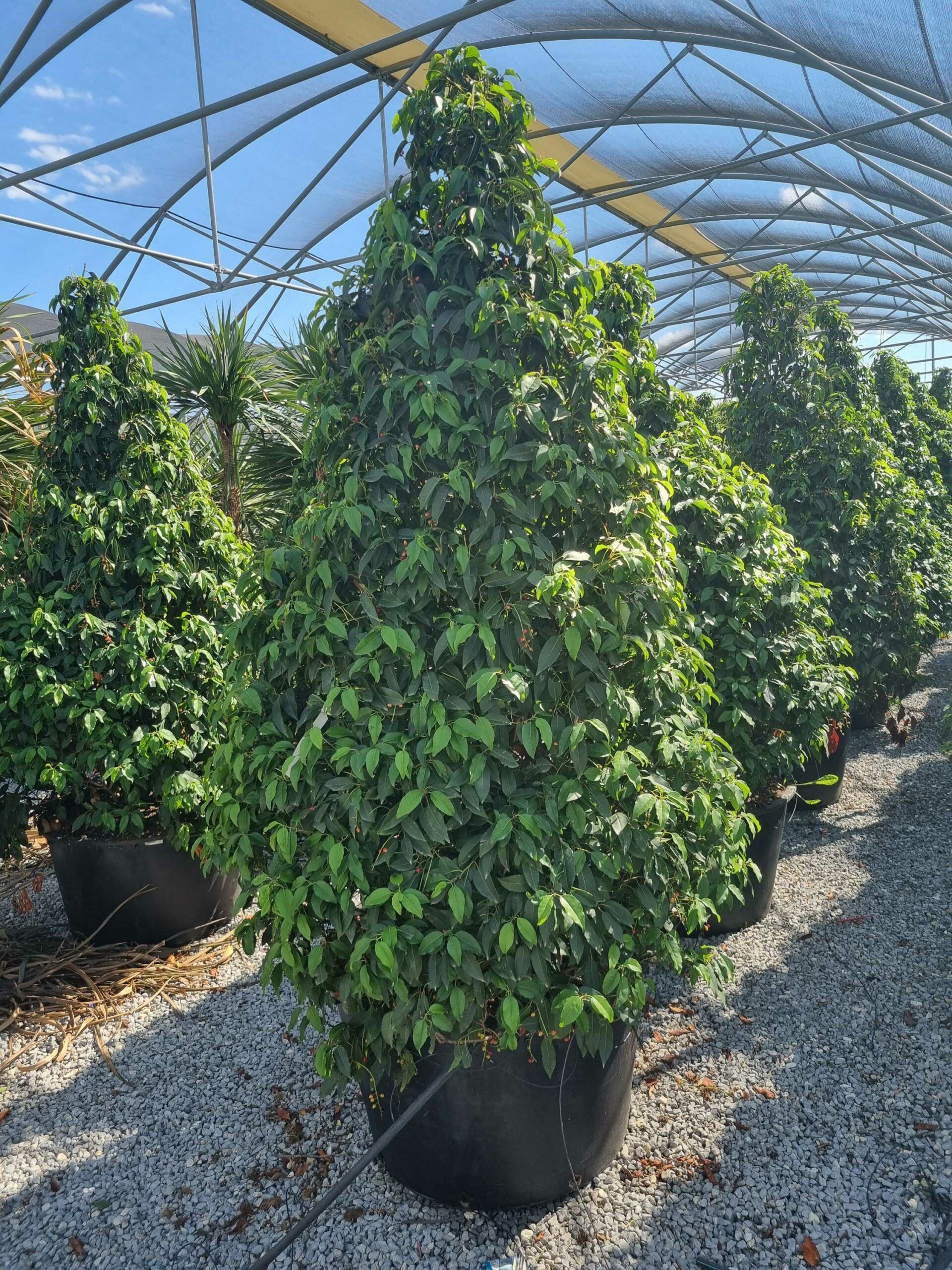 1663590724 scaled 97d1f9ce