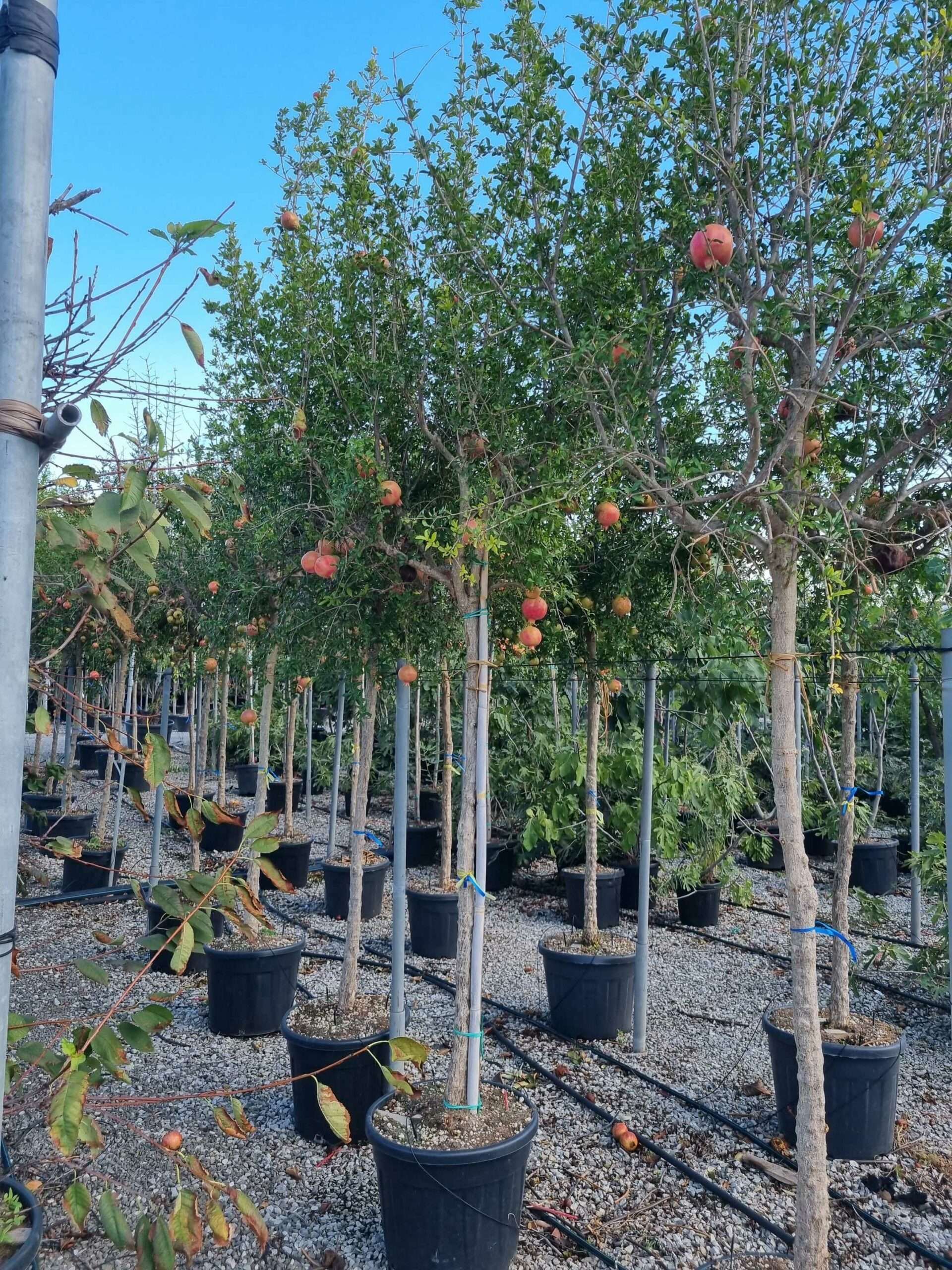 1663769437 scaled 97feaed0