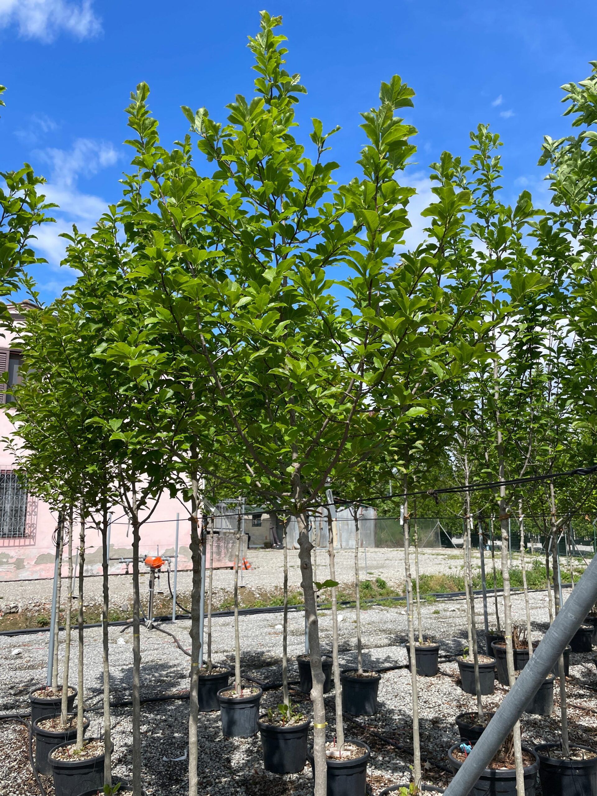 1683105882 scaled 978f6ecb