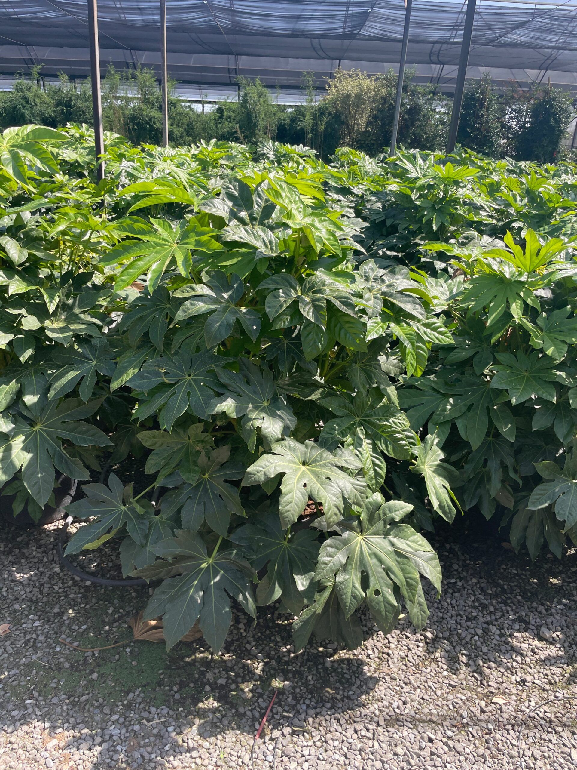 1692872730 scaled 976c6300