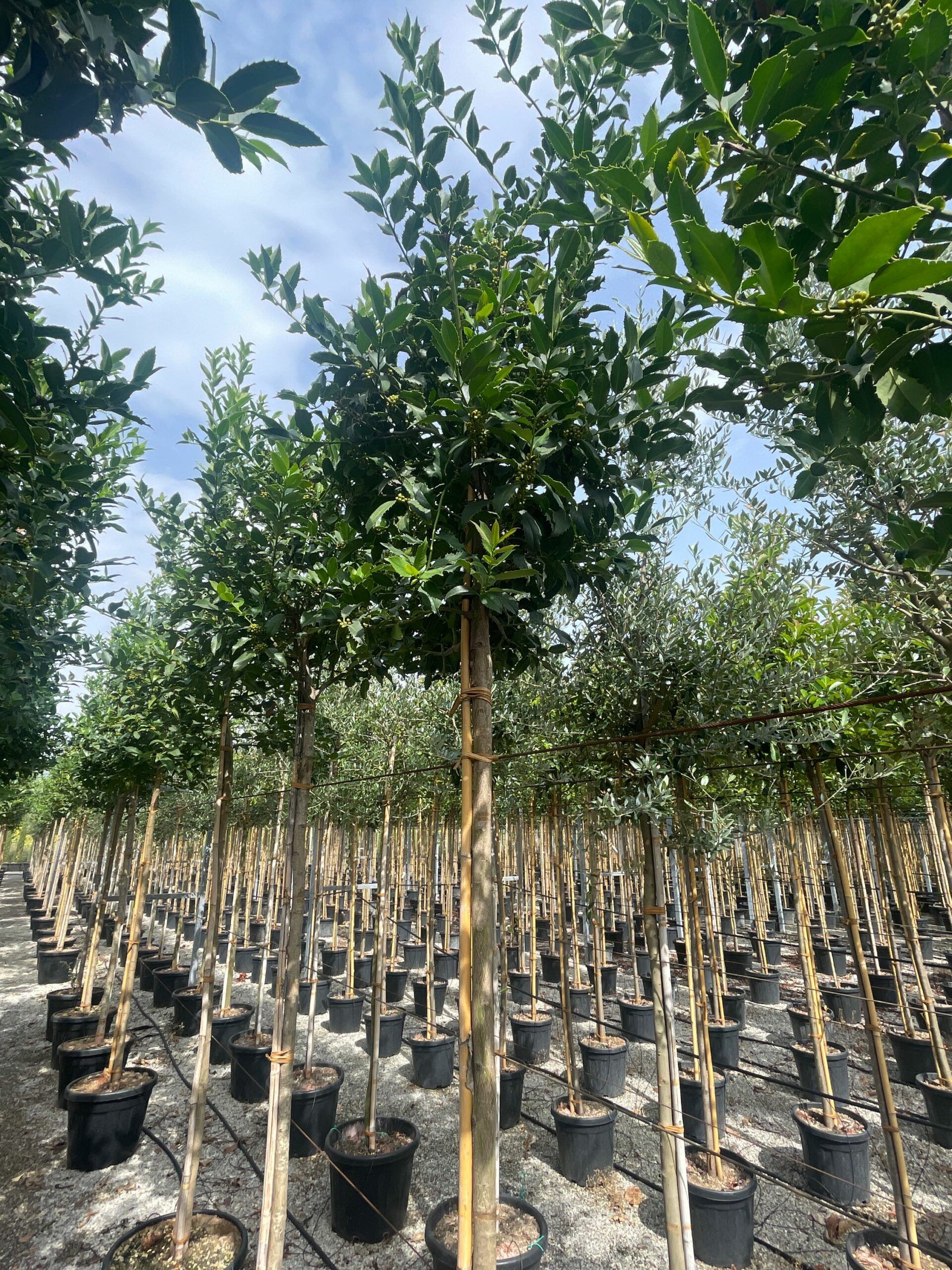 1695039483 scaled 9752bac3