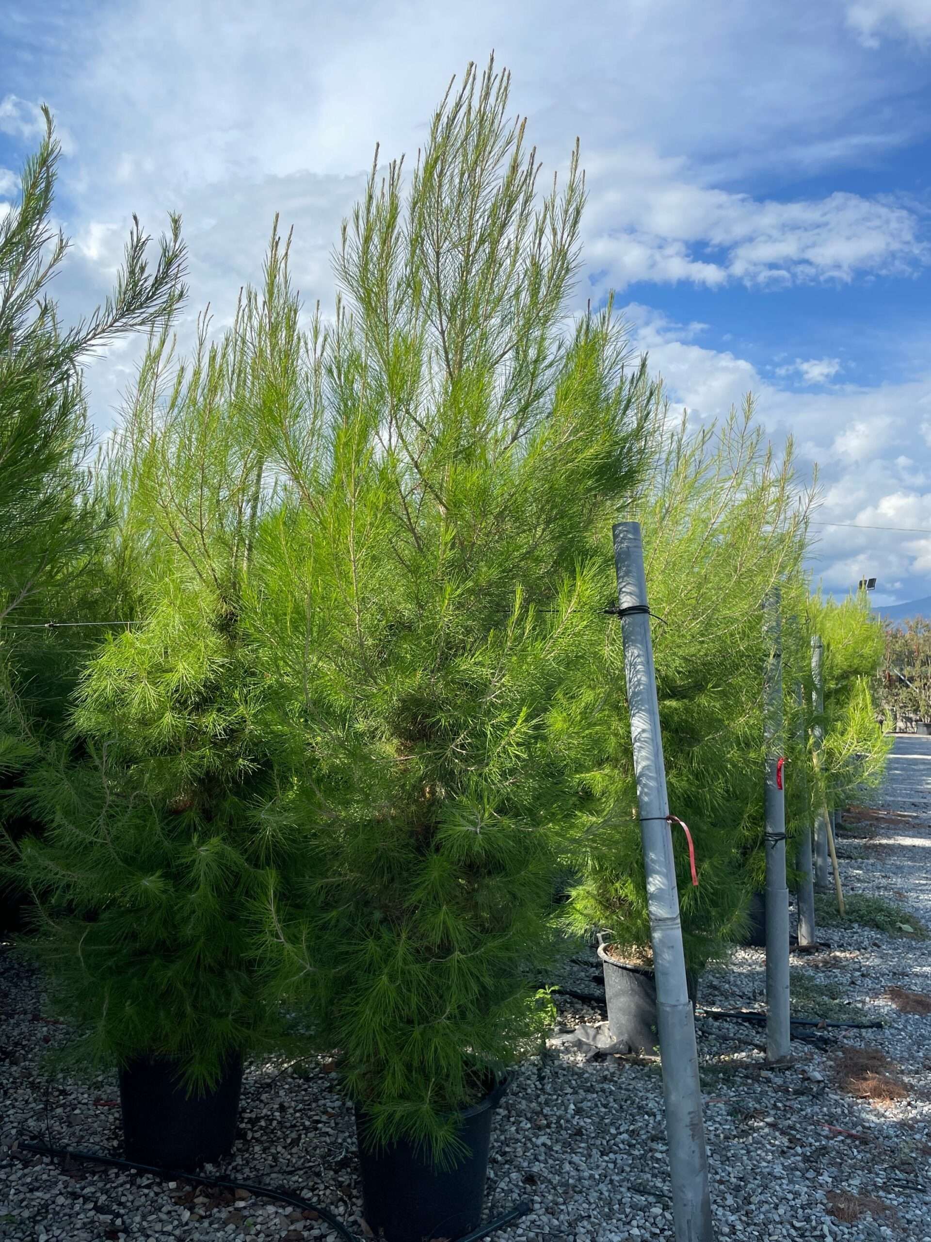 1631972952 scaled 9803af92