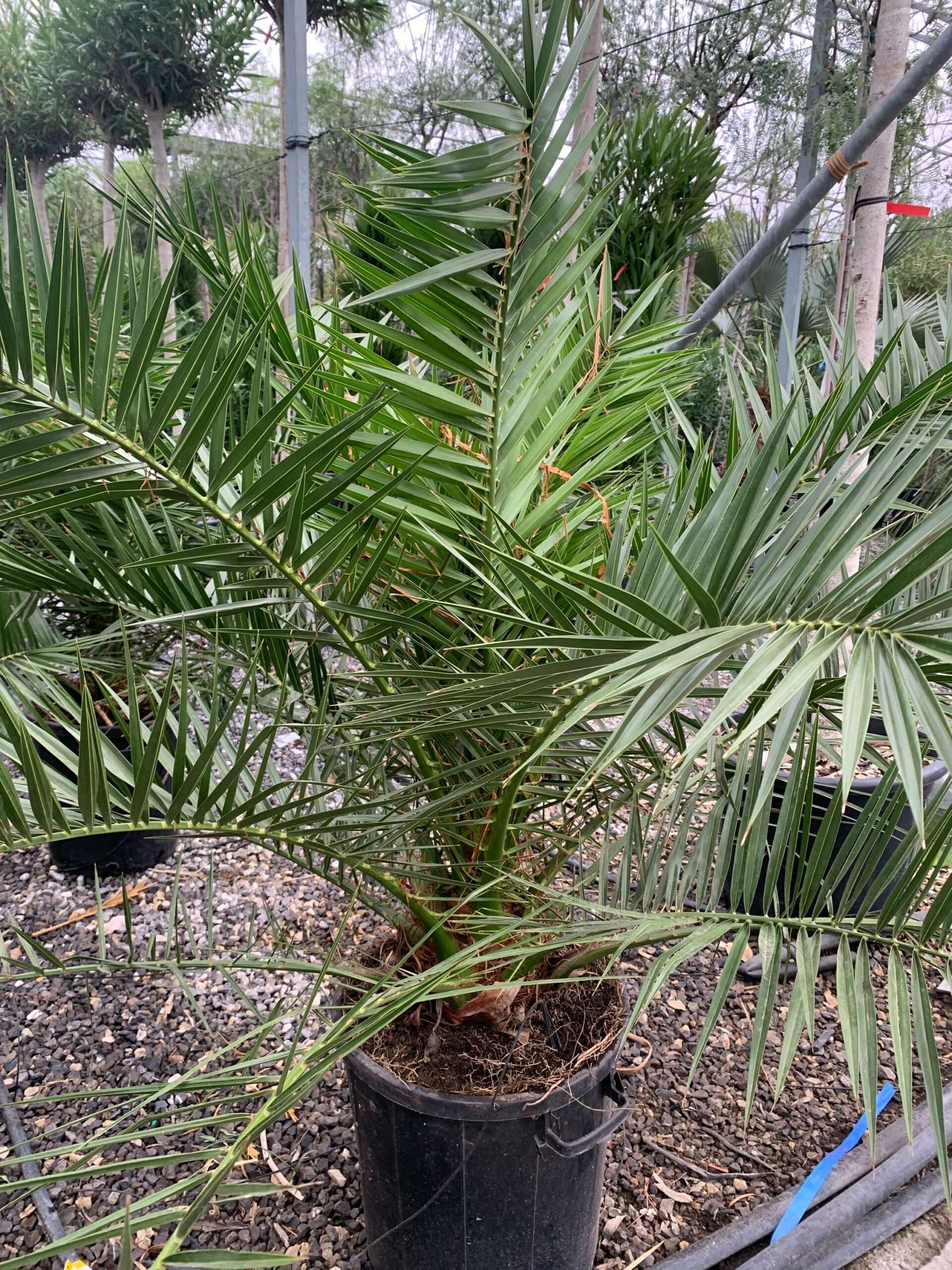 1637057576 scaled 9876f4ba