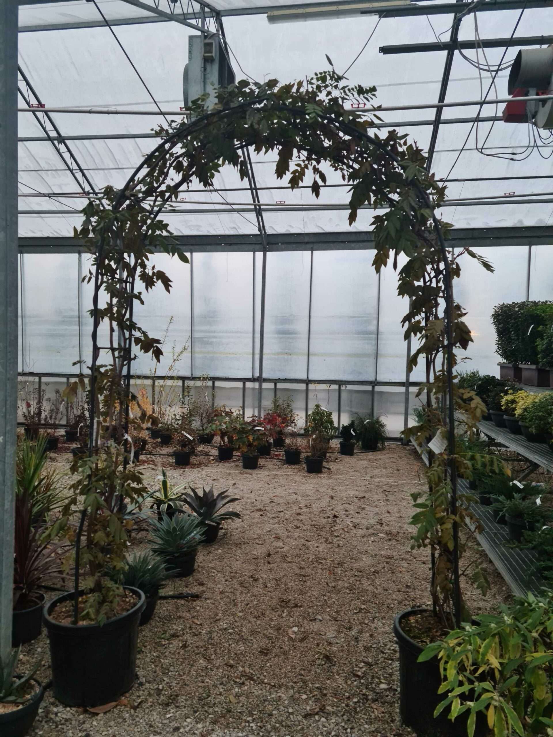 1639148877 scaled 98813069