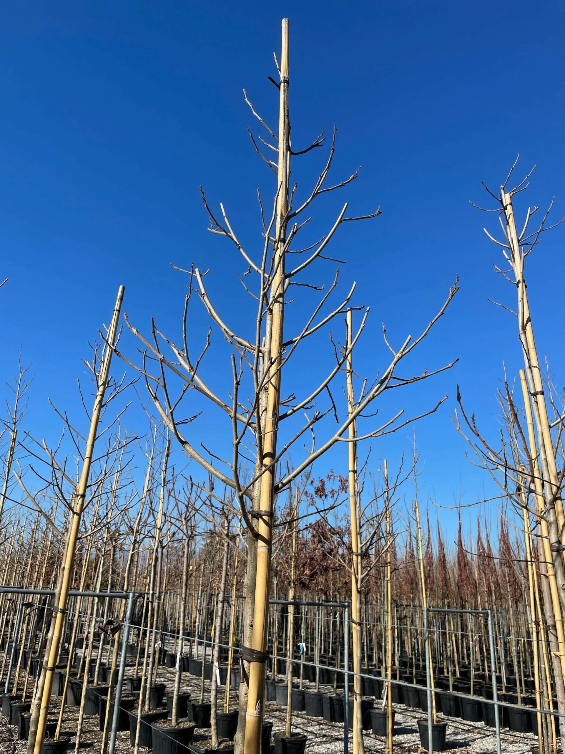 1643800363 scaled 988a0a38