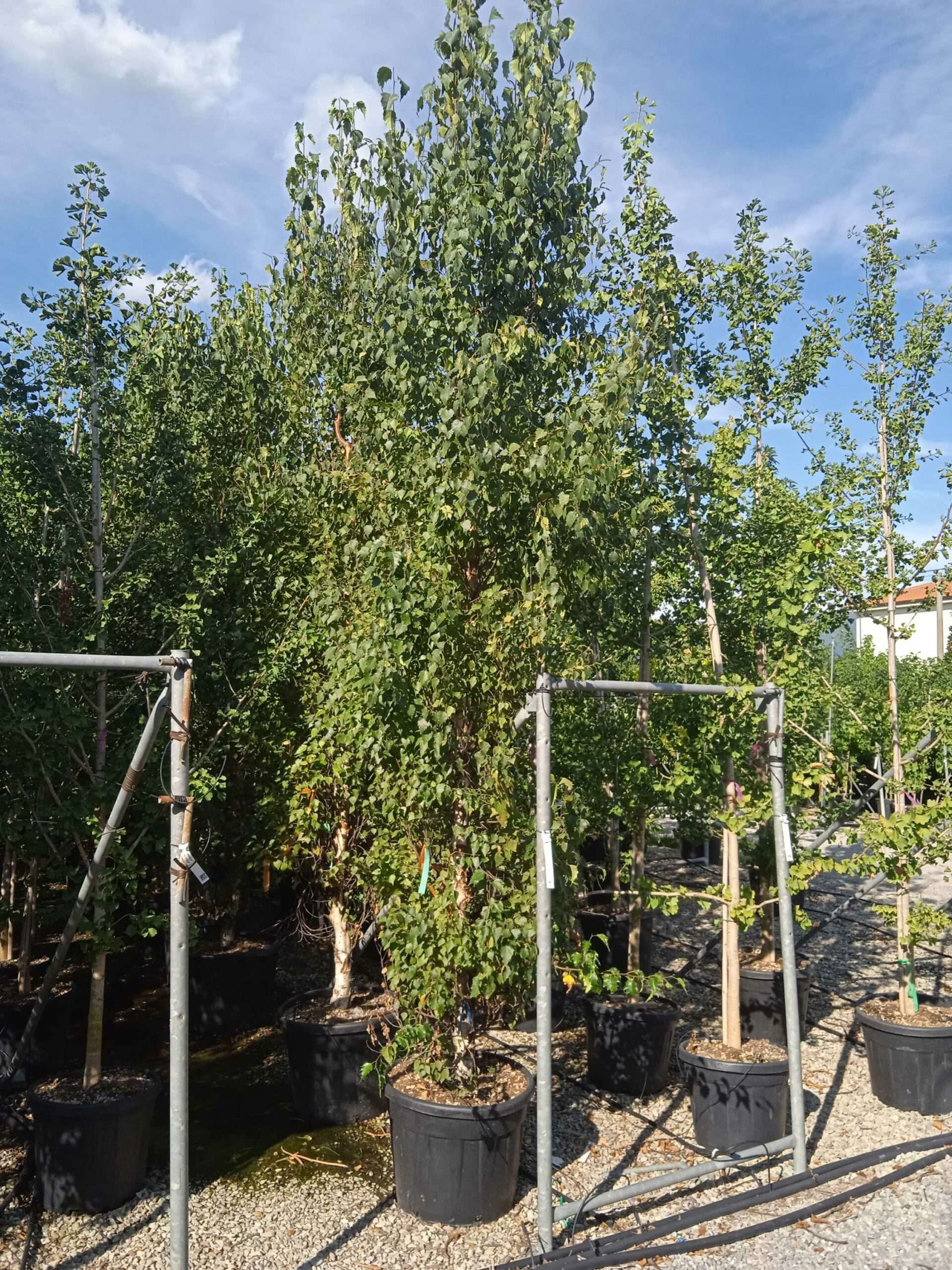 1662044053 scaled 988f3be4