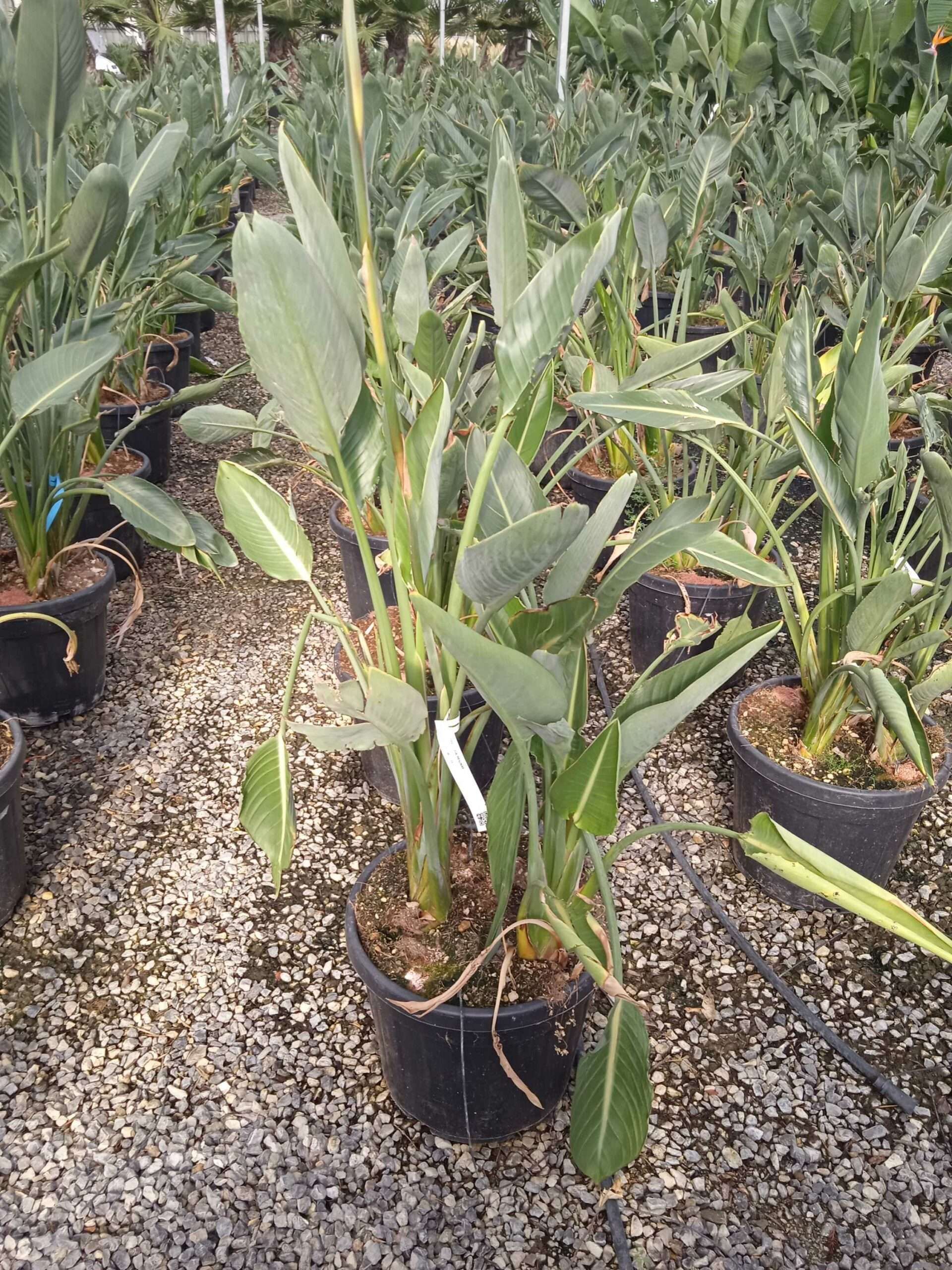 1662449947 scaled 983ca837