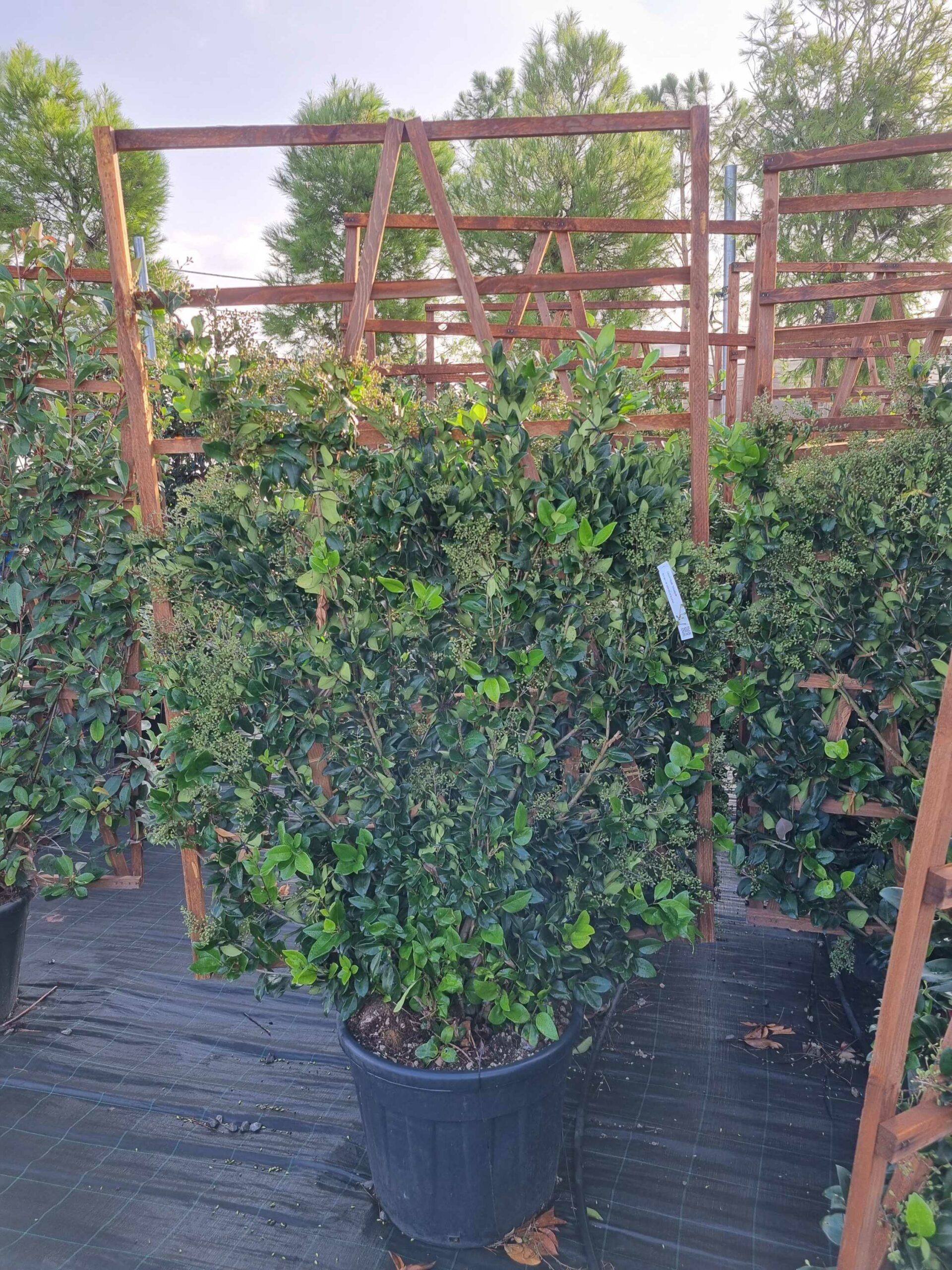 1664434745 scaled 9803d6da