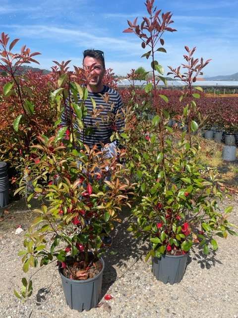 1682683275 IMG 7698 9877a509