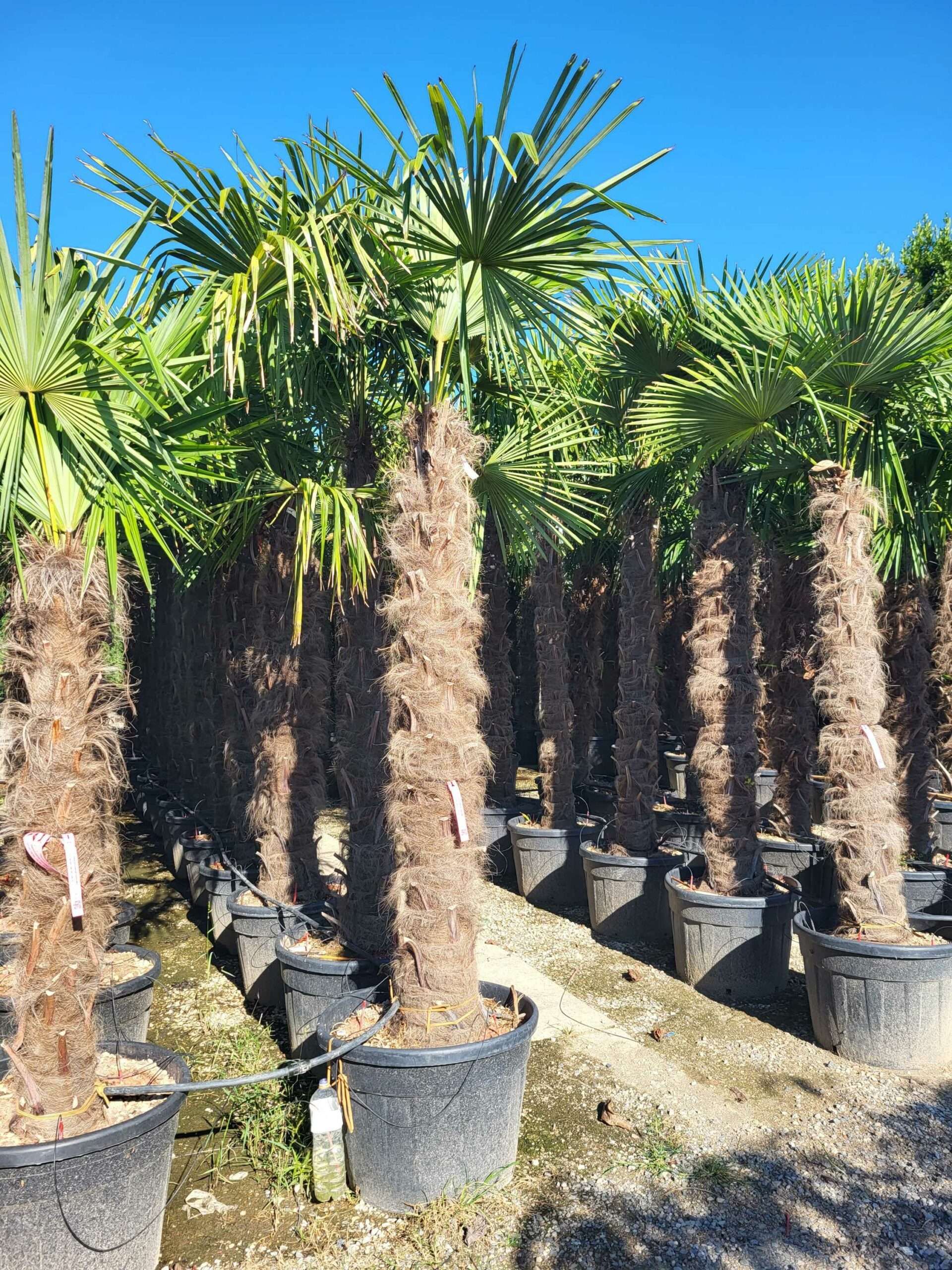 1691479182 scaled 98f7308c