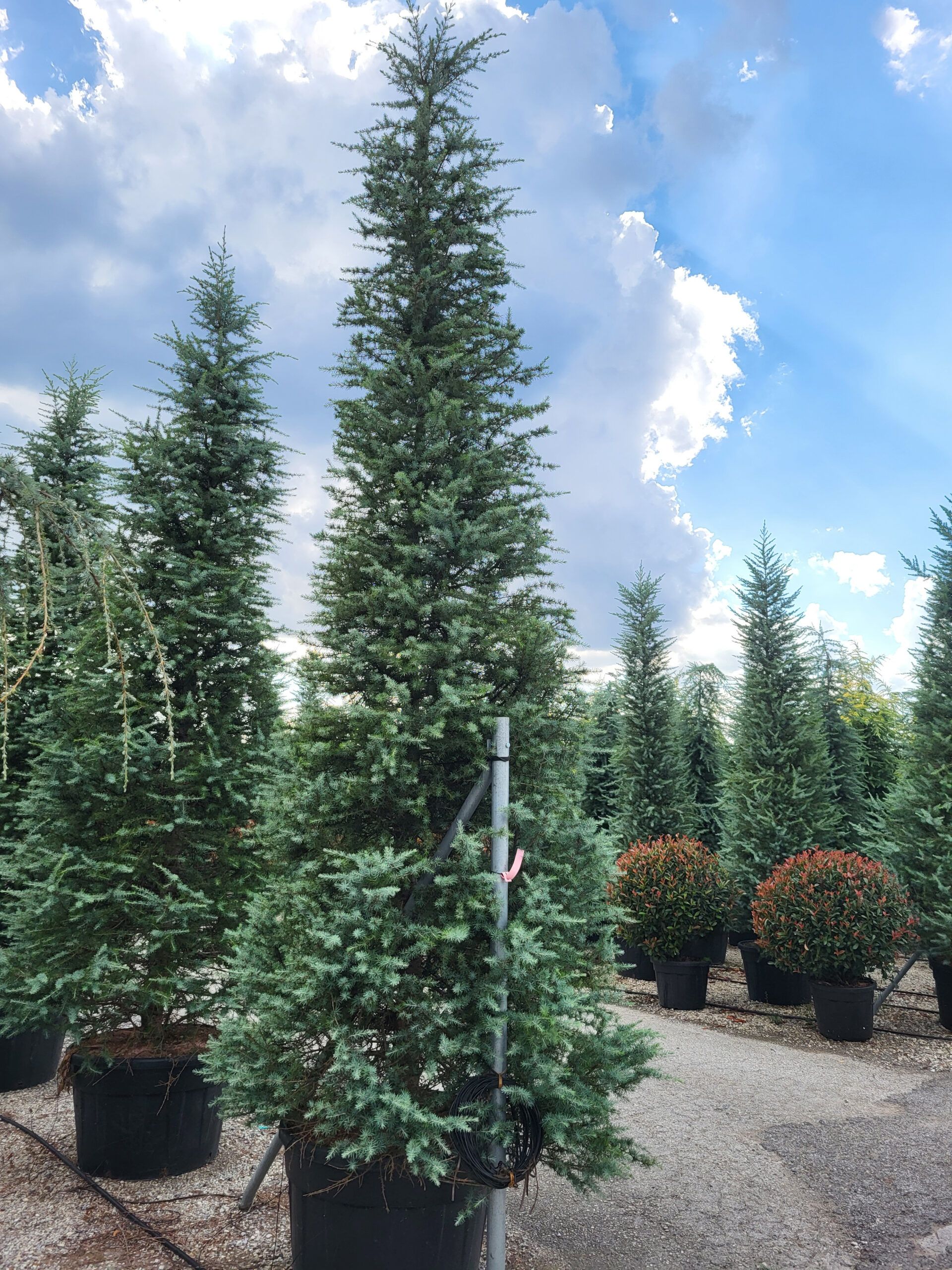 1694788559 scaled 9889a0c5