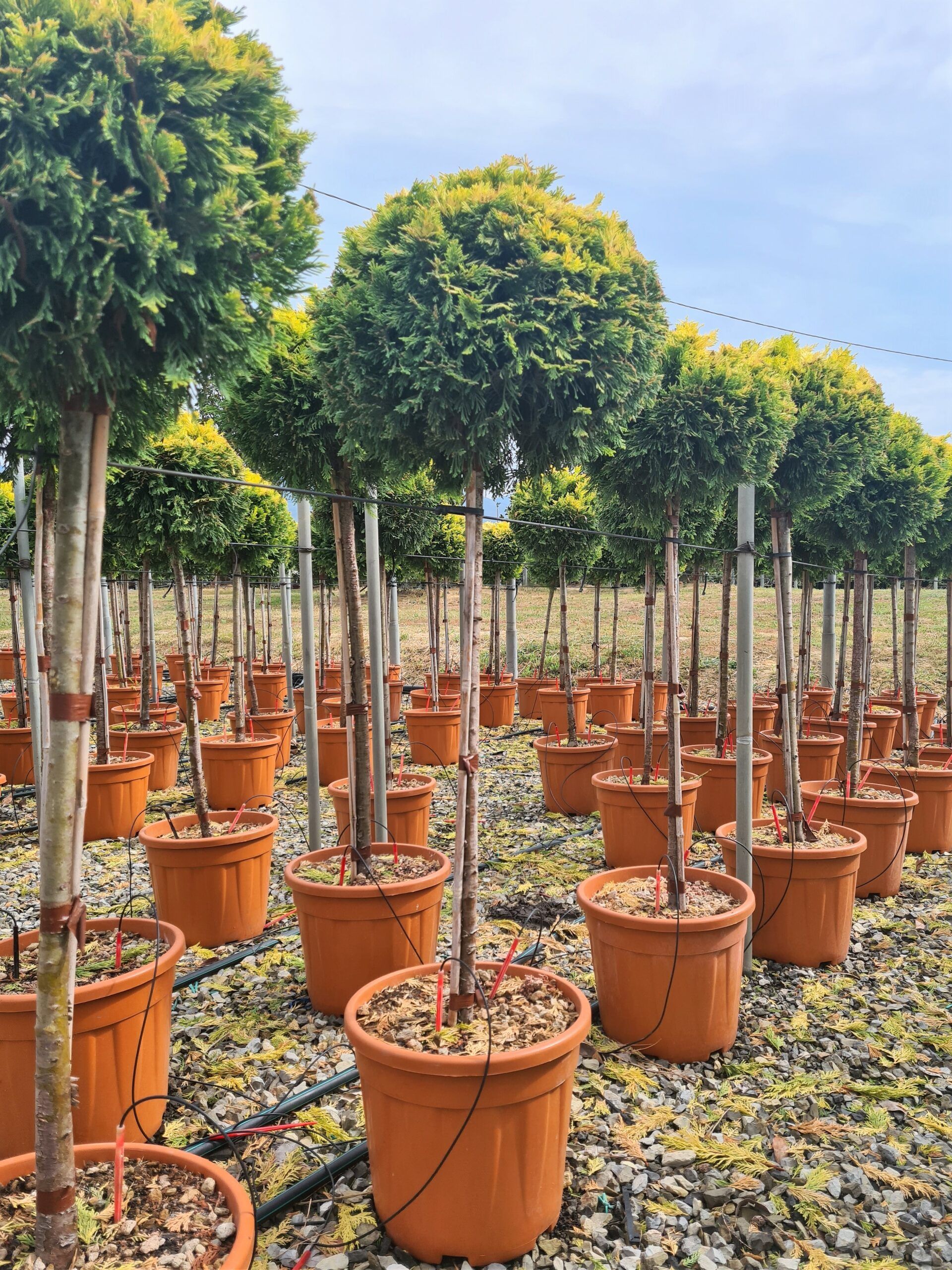 1631797571 1 scaled 9991621b