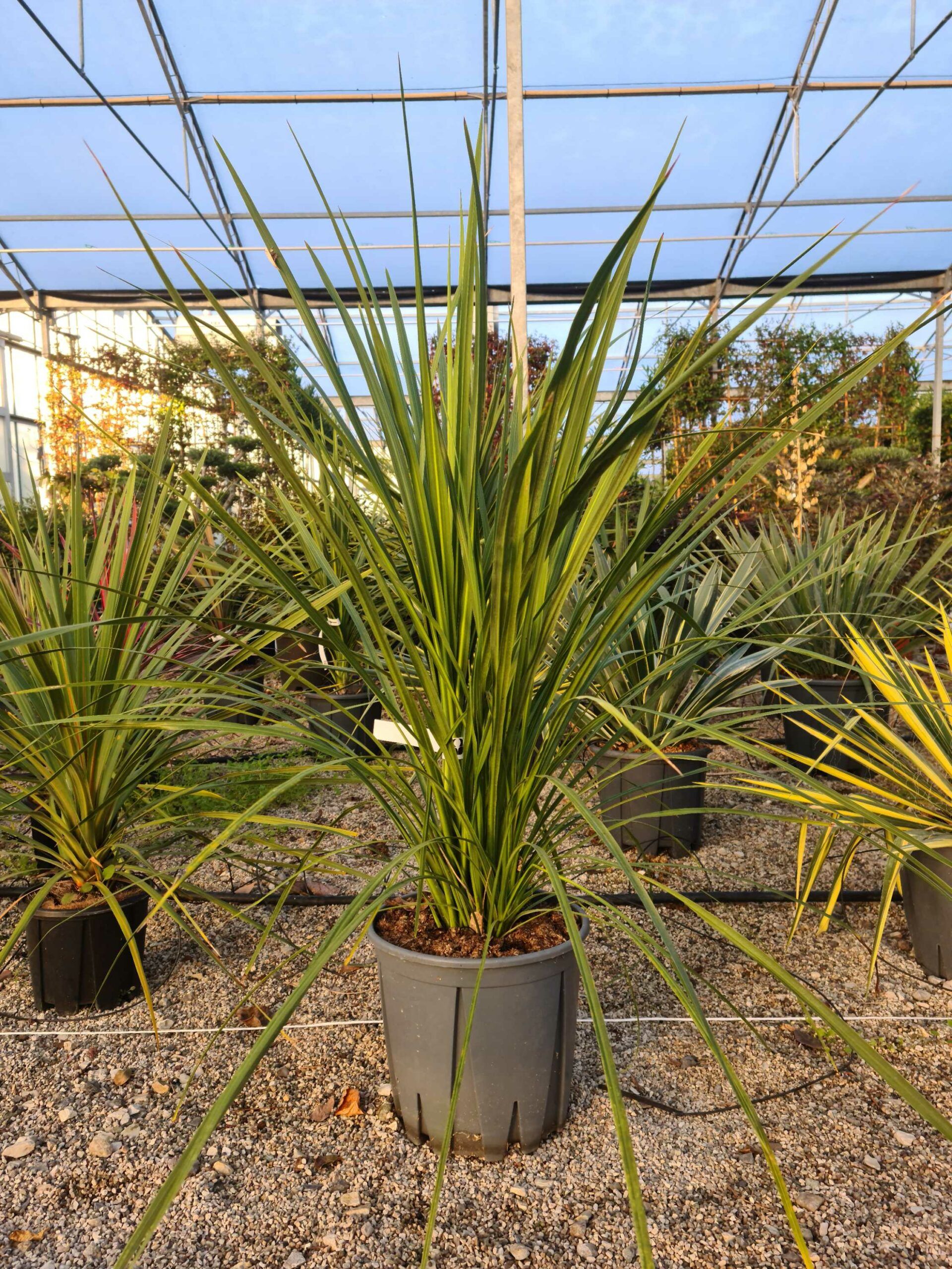 1639468024 scaled 996f452b