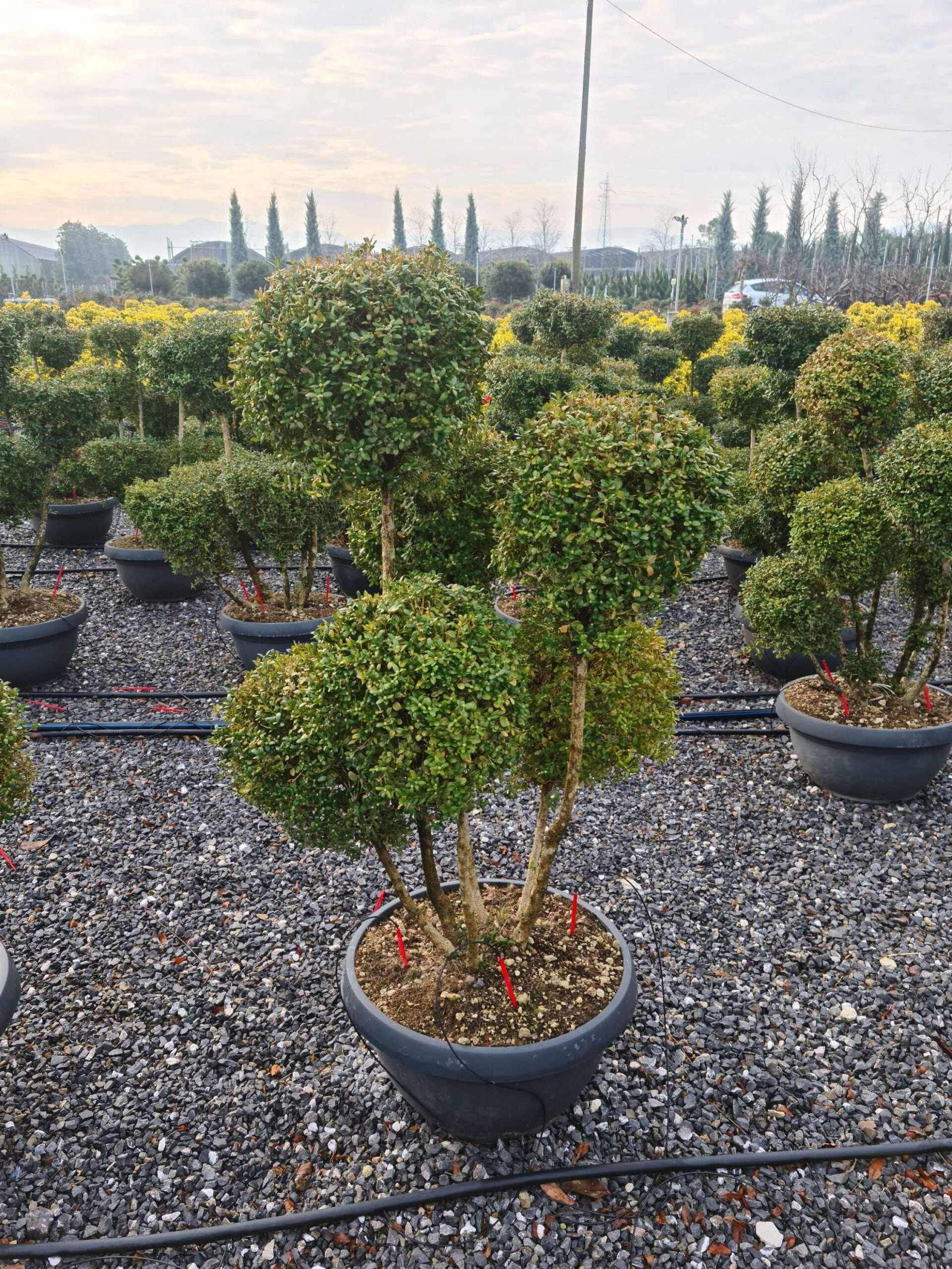 1640163144 scaled 9944f38a