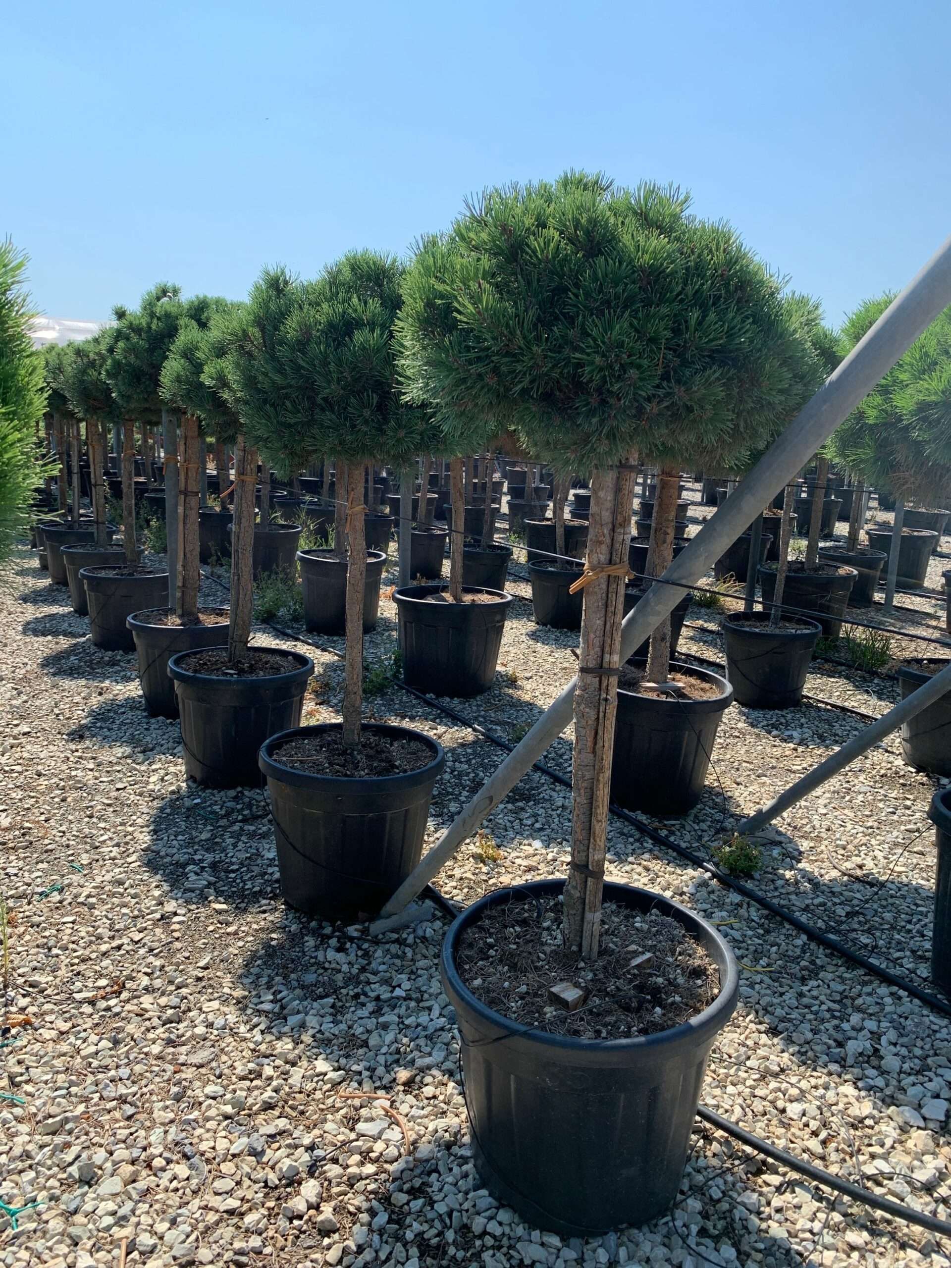 1658132247 scaled 9951eaac