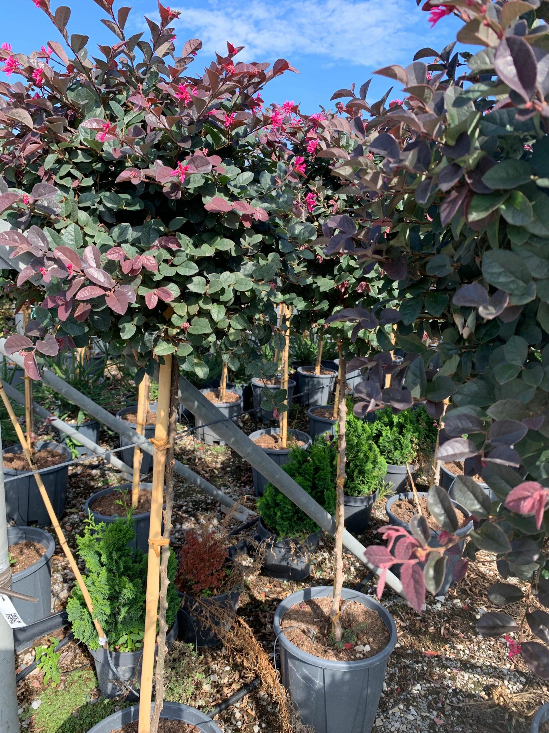 1662106219 scaled 993fcb39