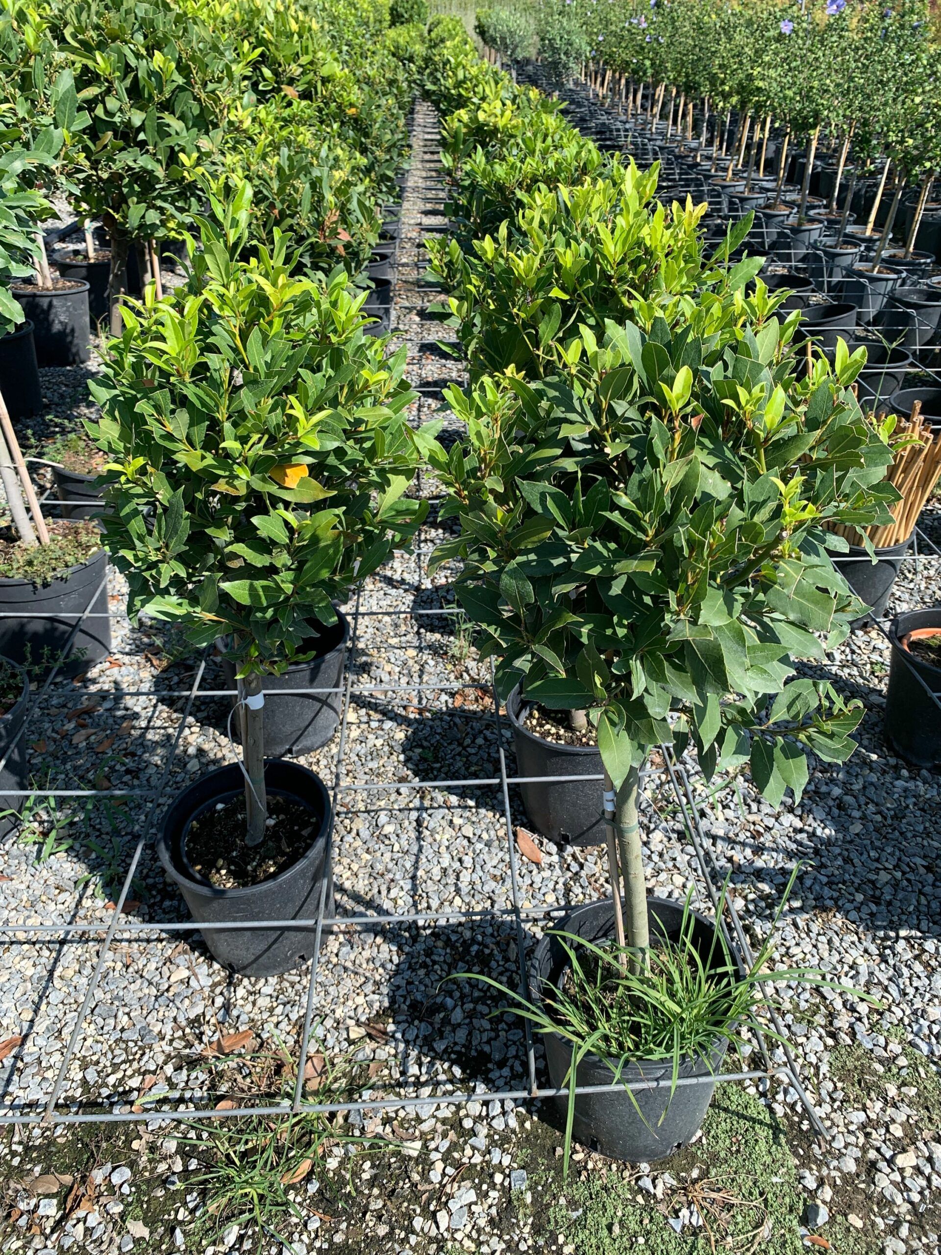 1662108437 1 scaled 99afbf65