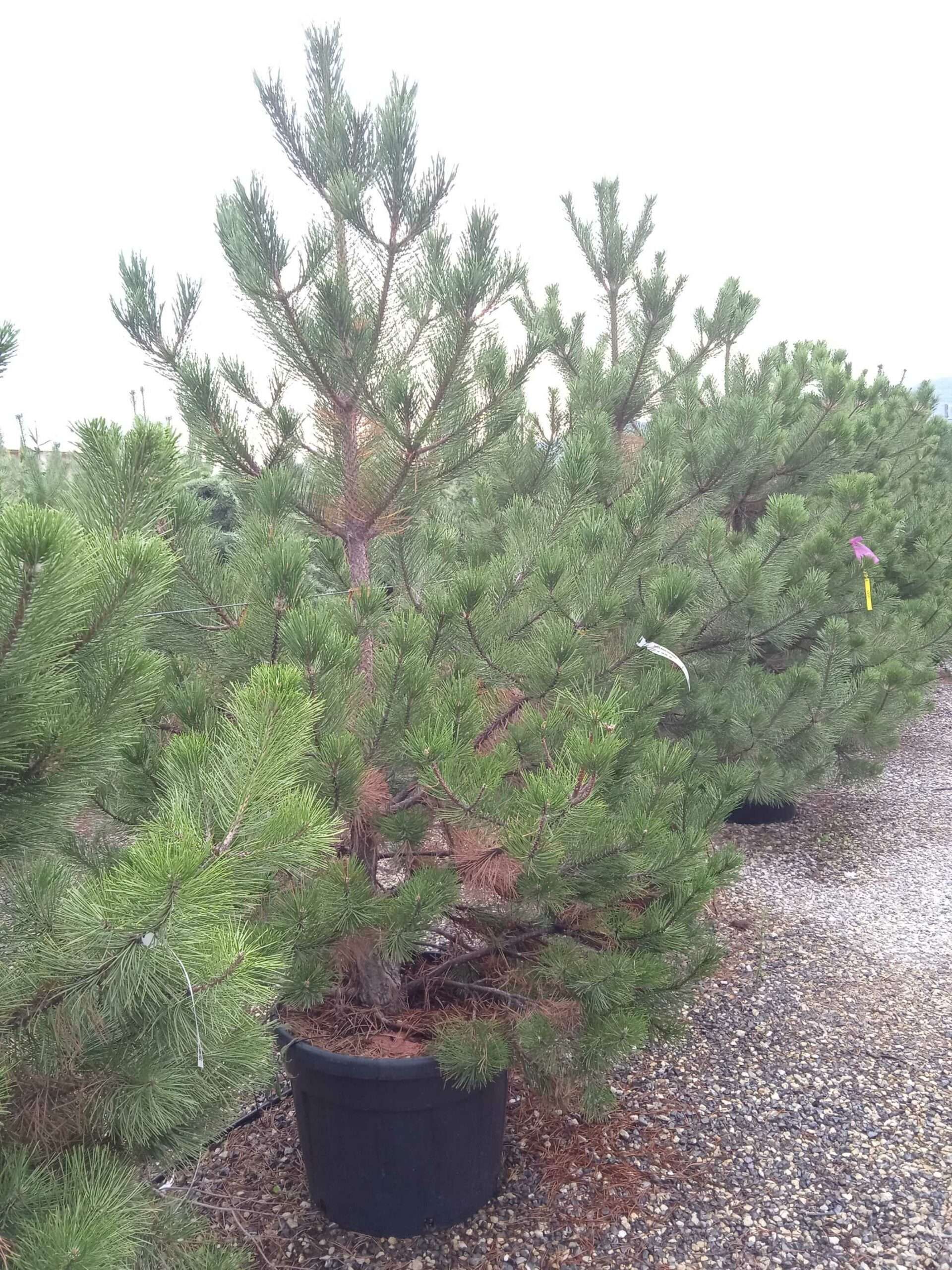 1662186725 scaled 99c97be0