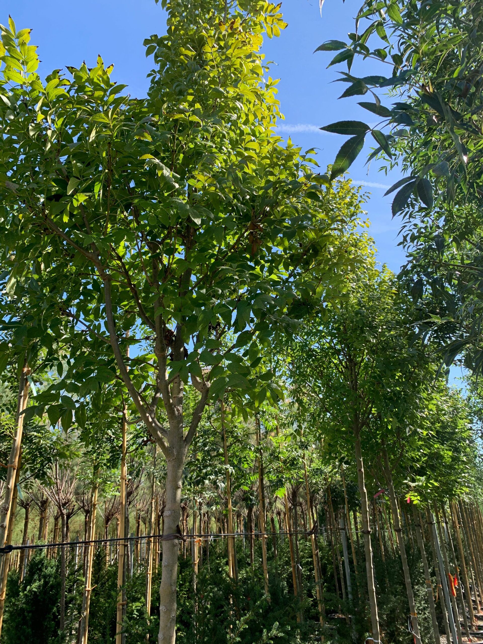 1662455255 scaled 996004b3