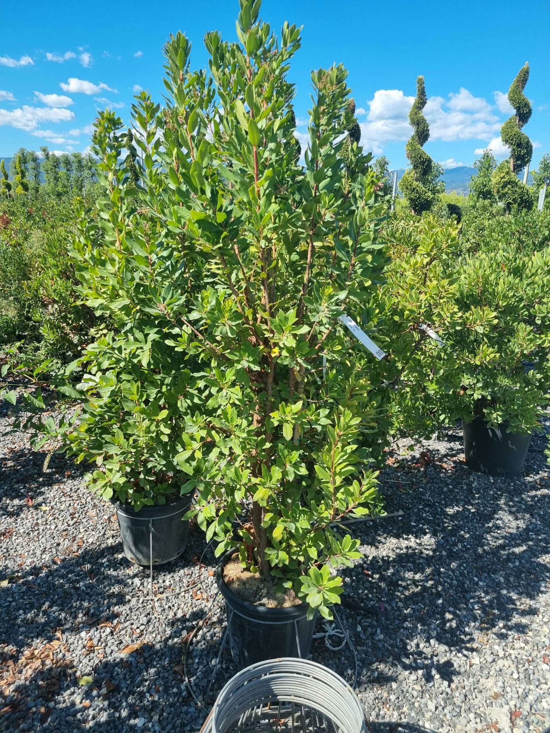 1663675940 scaled 99696bab