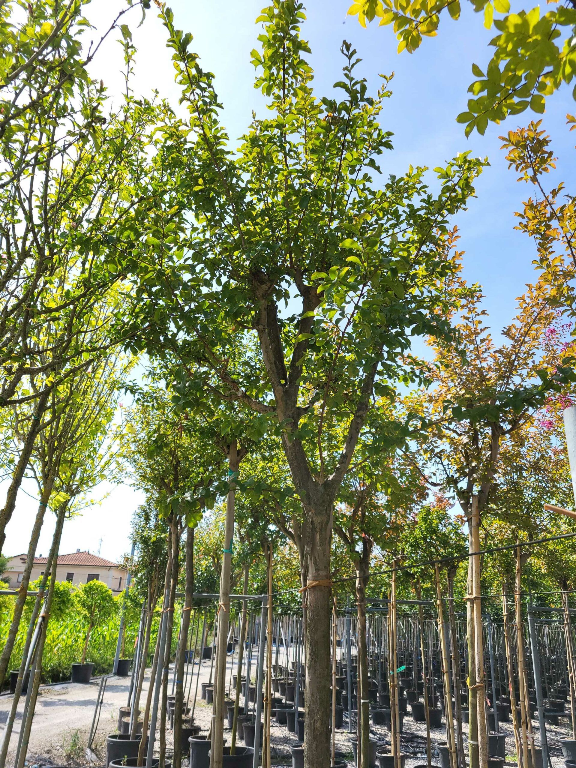 1691588254 scaled 99c3da16