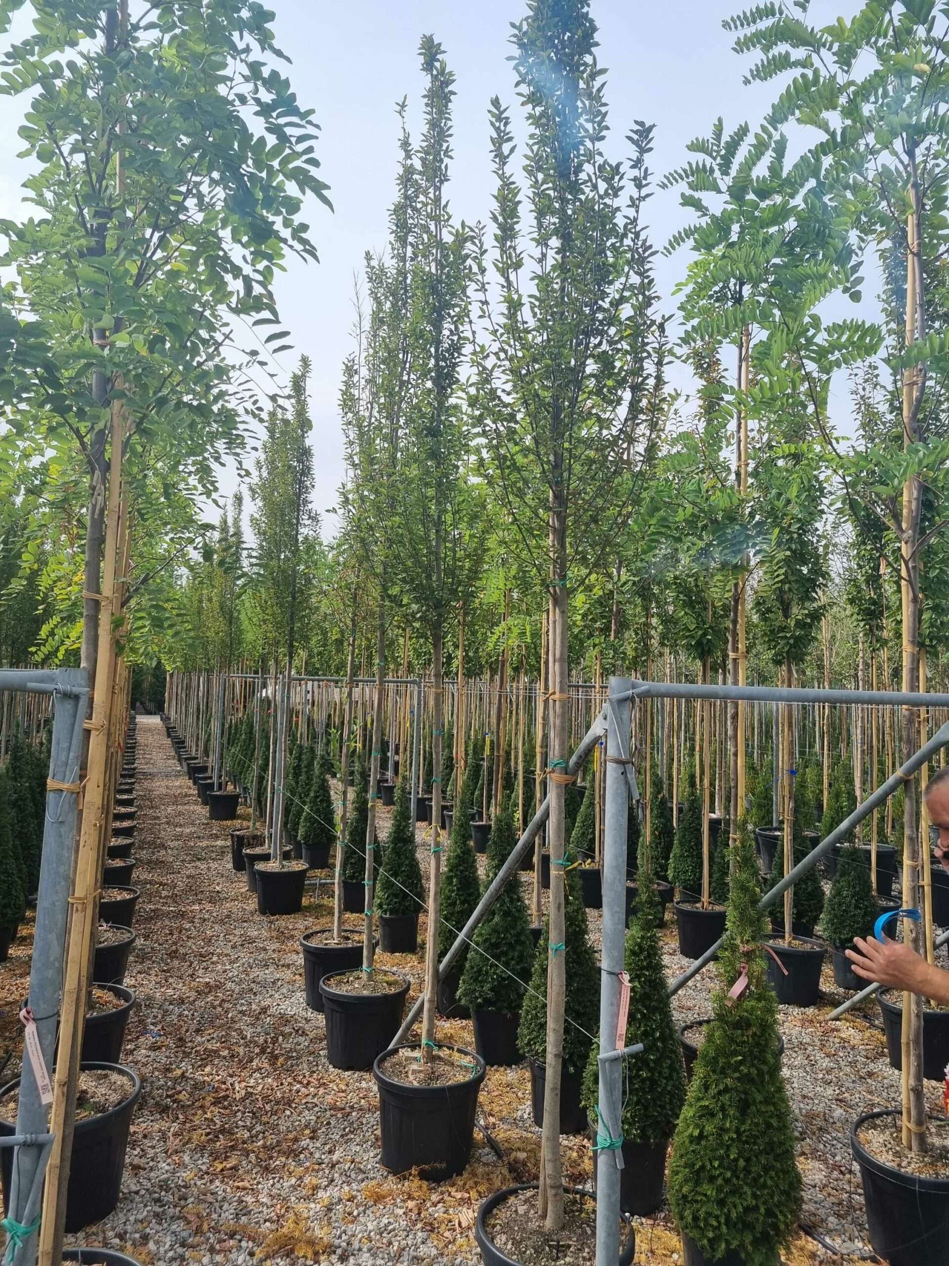 1695041712 scaled 992e33aa