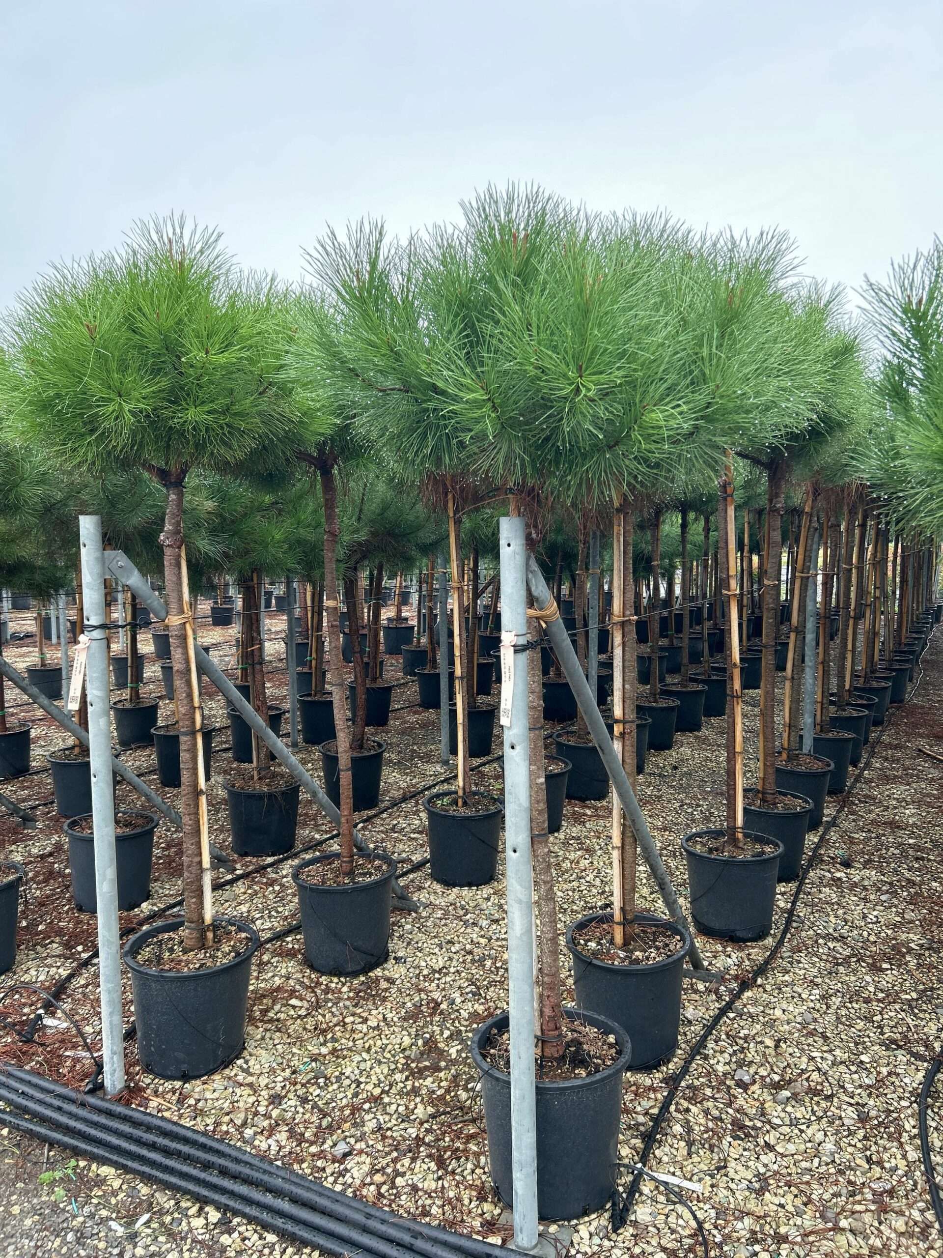 1698156442 scaled 9968070b