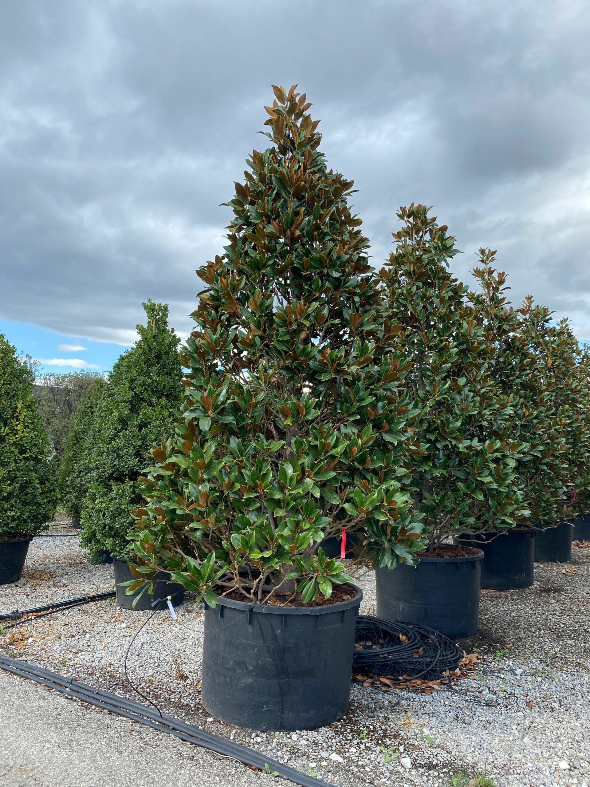 1631884647 scaled 9afa8682