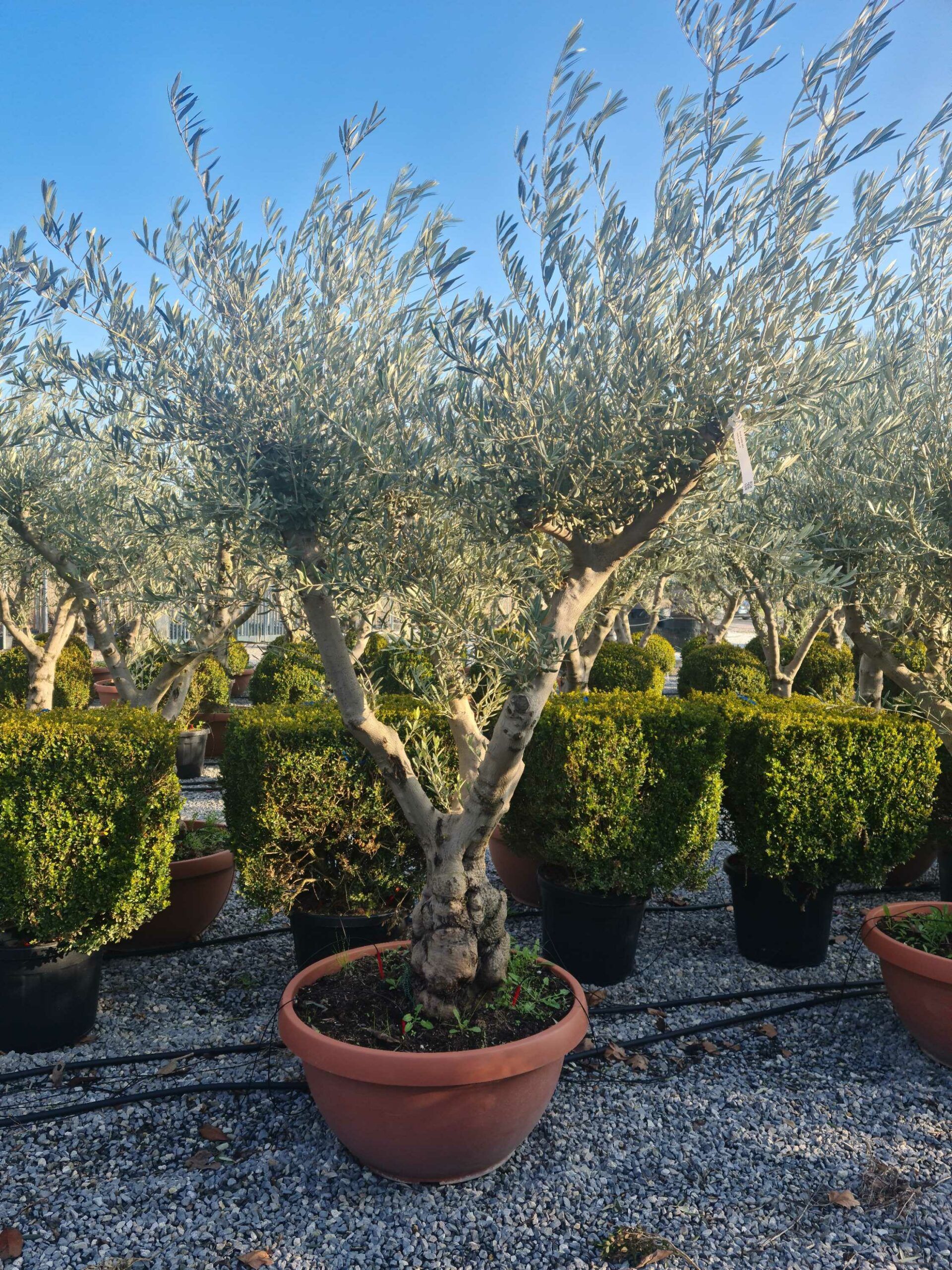 1642773377 scaled 9ac034c6