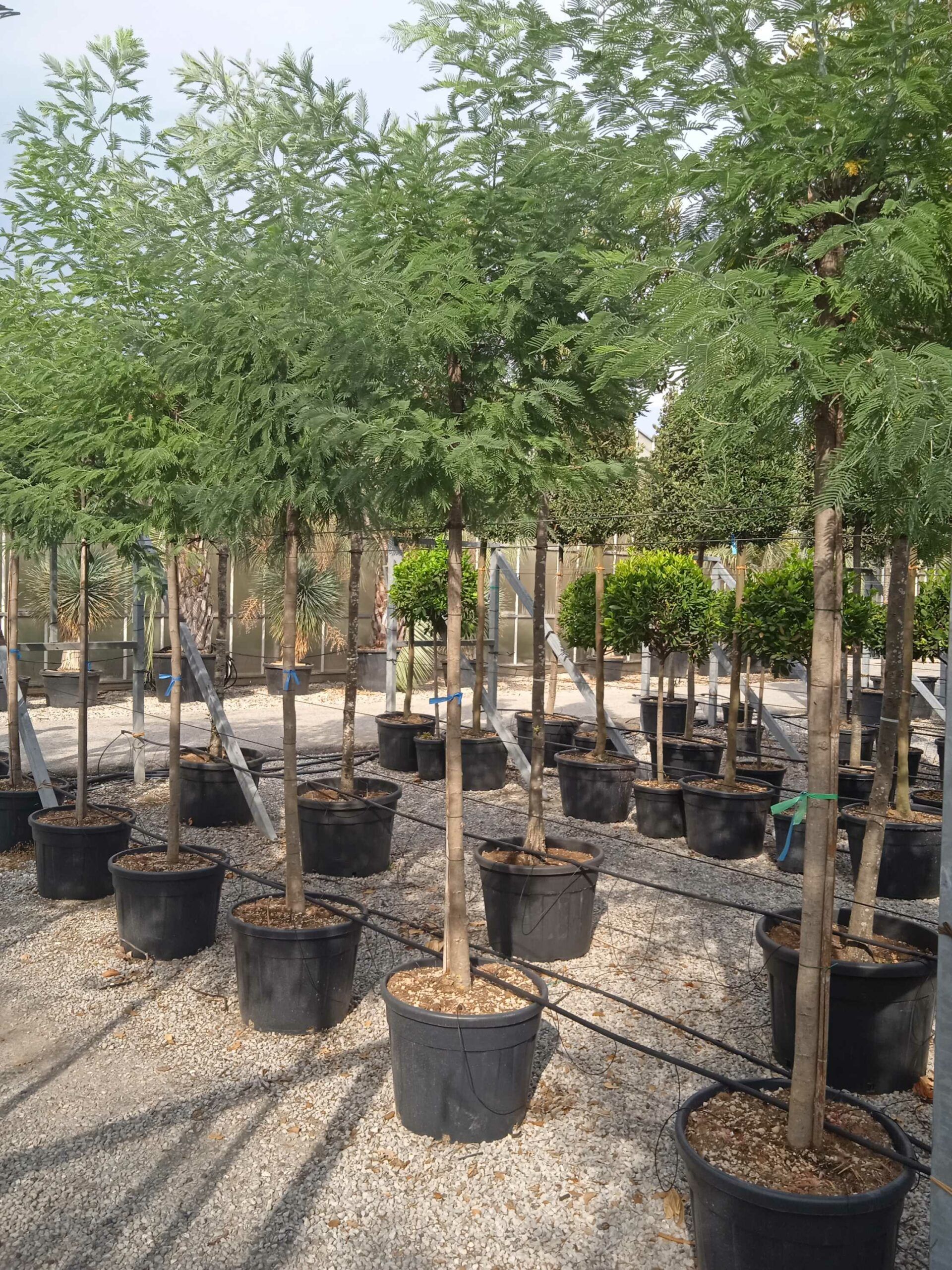 1661870502 scaled 9aec208d