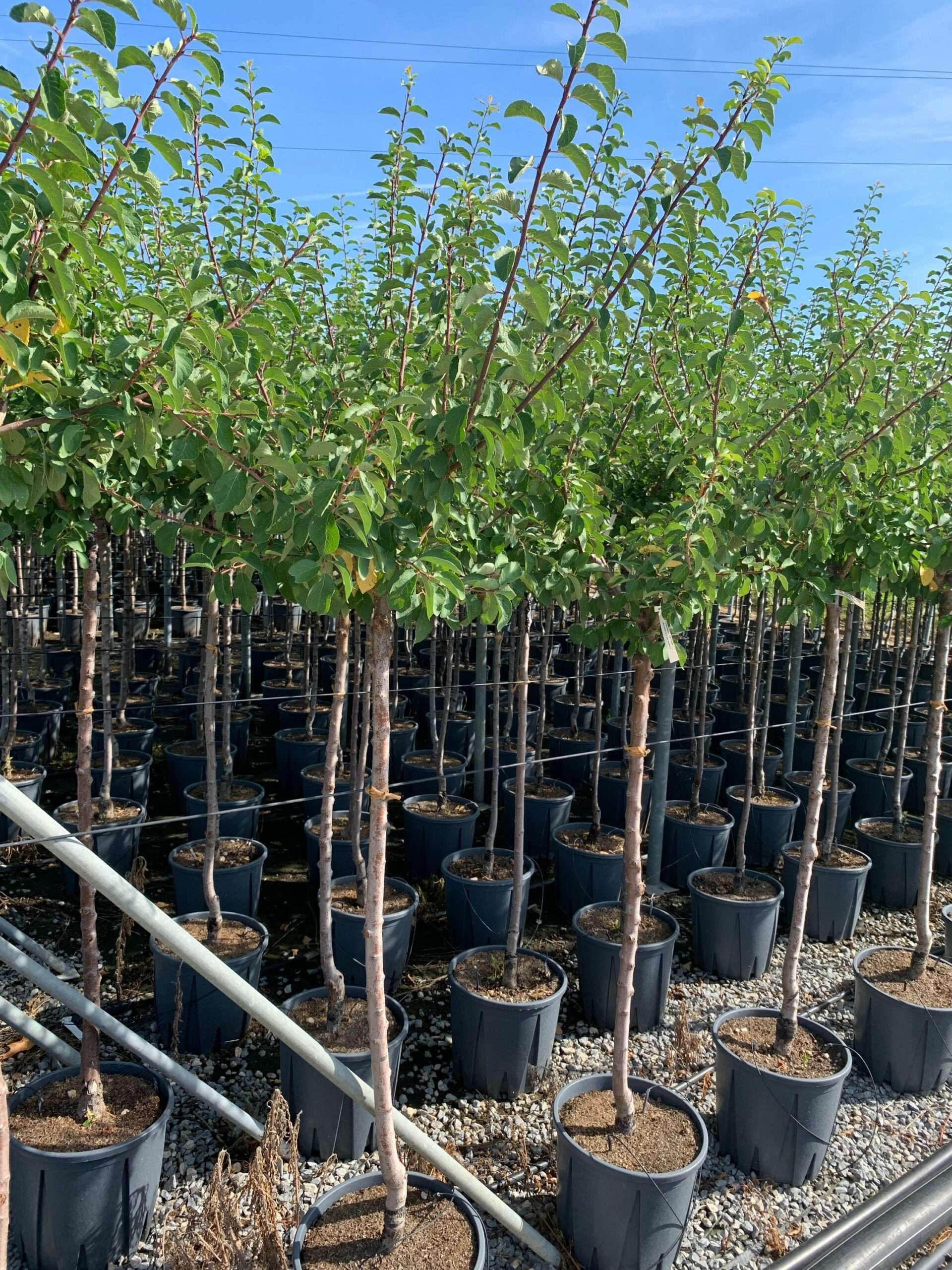 1662365943 scaled 9af957ad