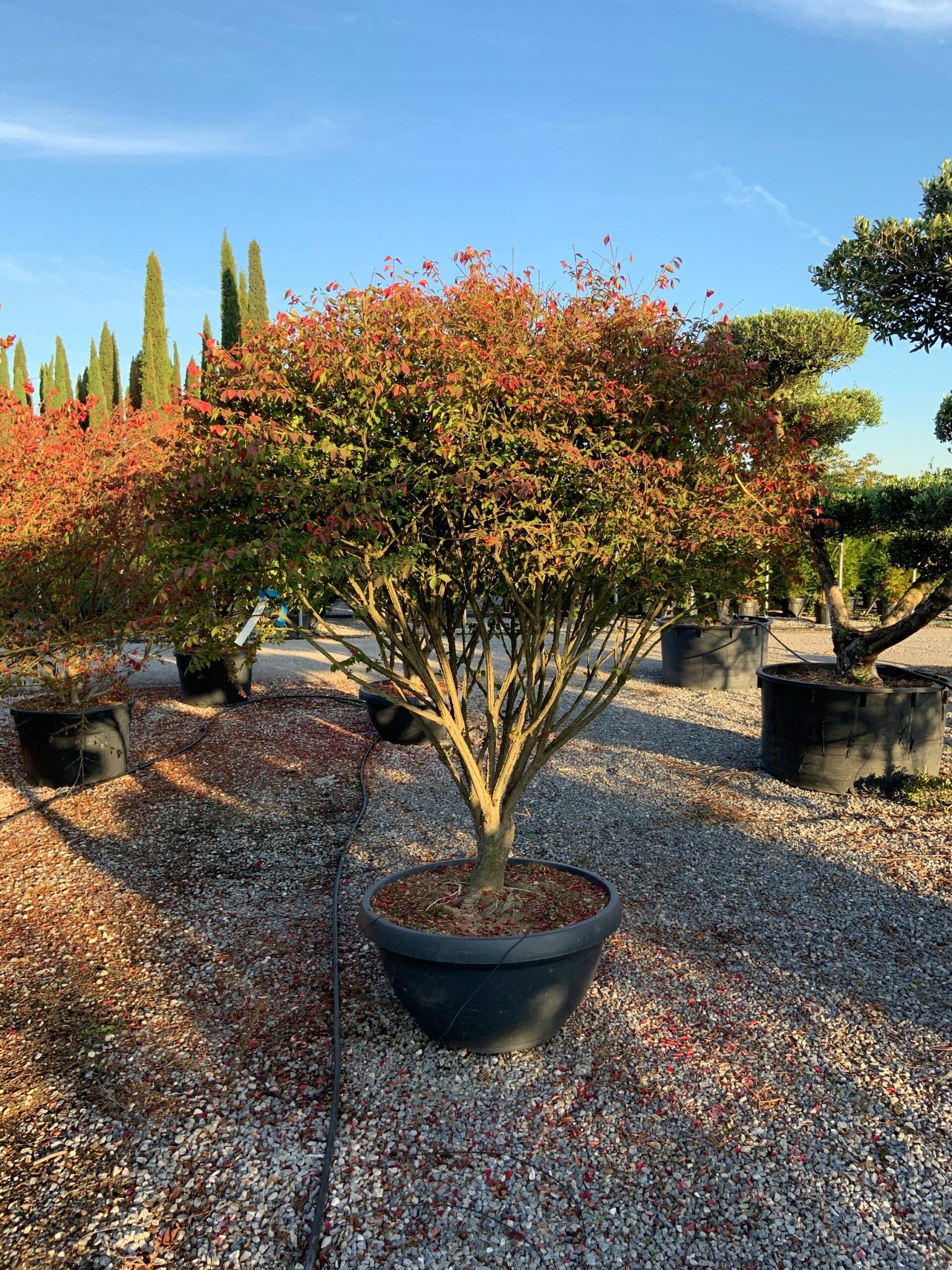 1666020523 scaled 9a41ad7c